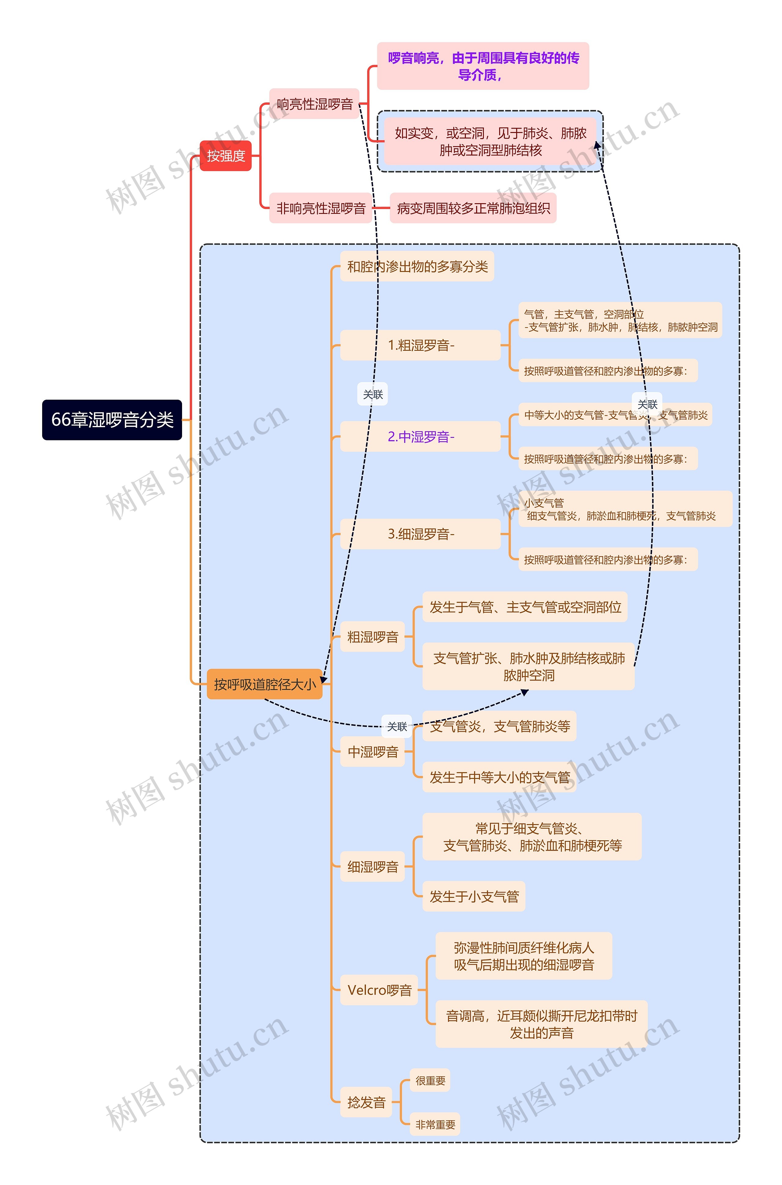 医学知识湿啰音分类思维导图