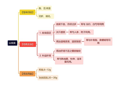 中医知识山茱萸思维导图