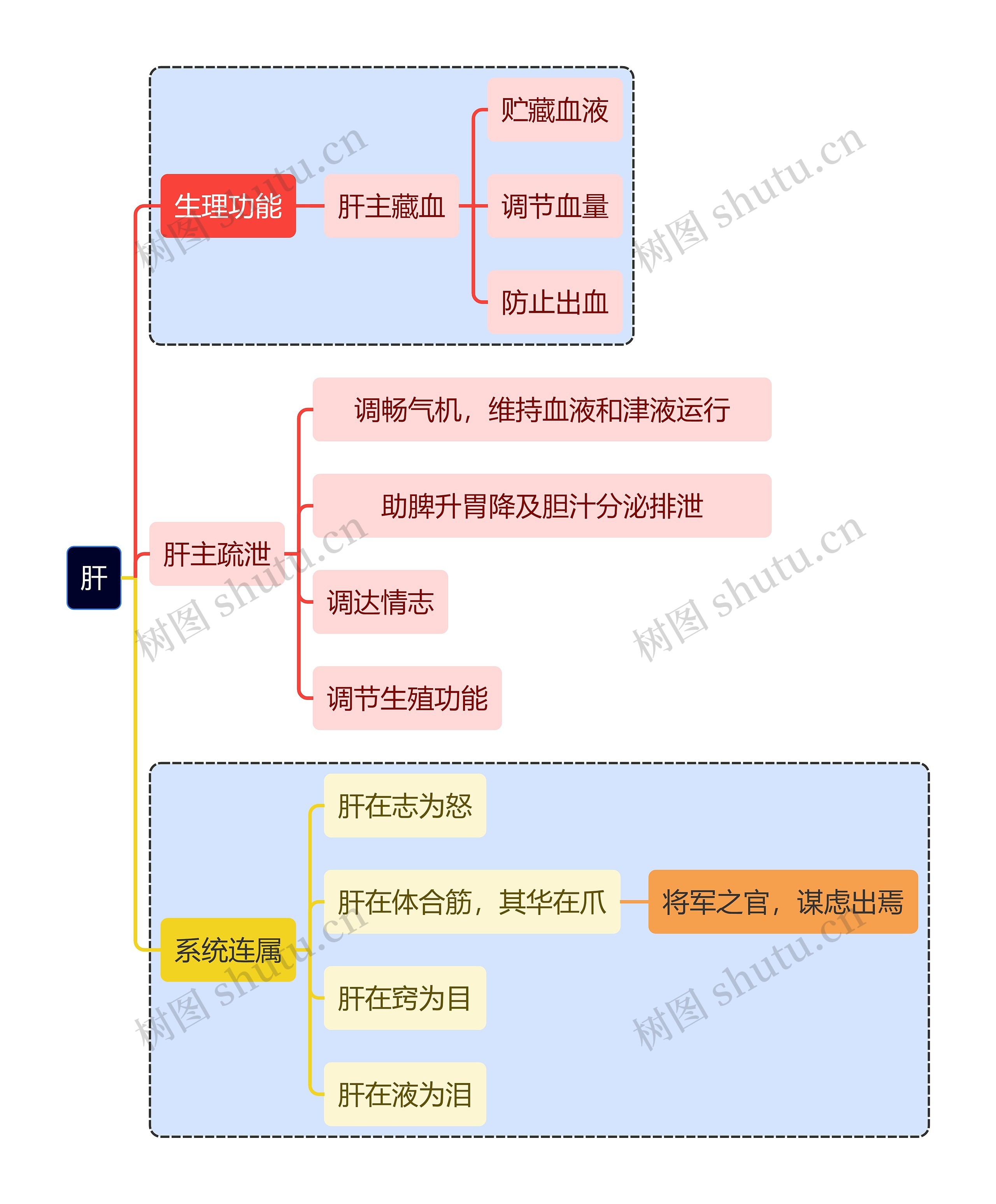 生物科学肝的论证思维导图