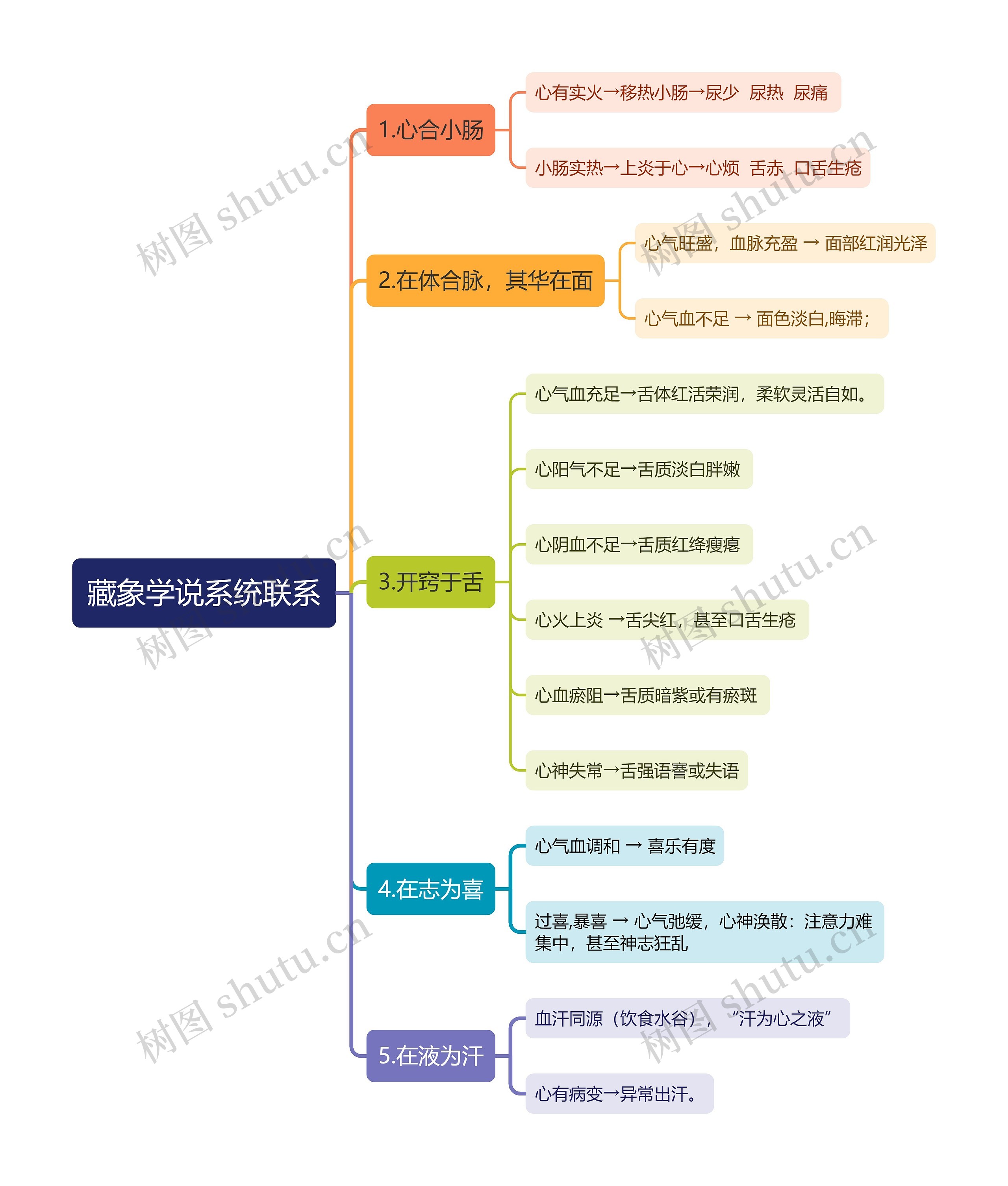 藏象学说系统联系思维导图