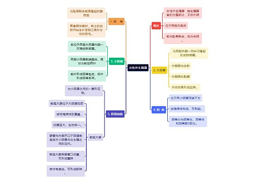 医学知识女性外生殖器思维导图