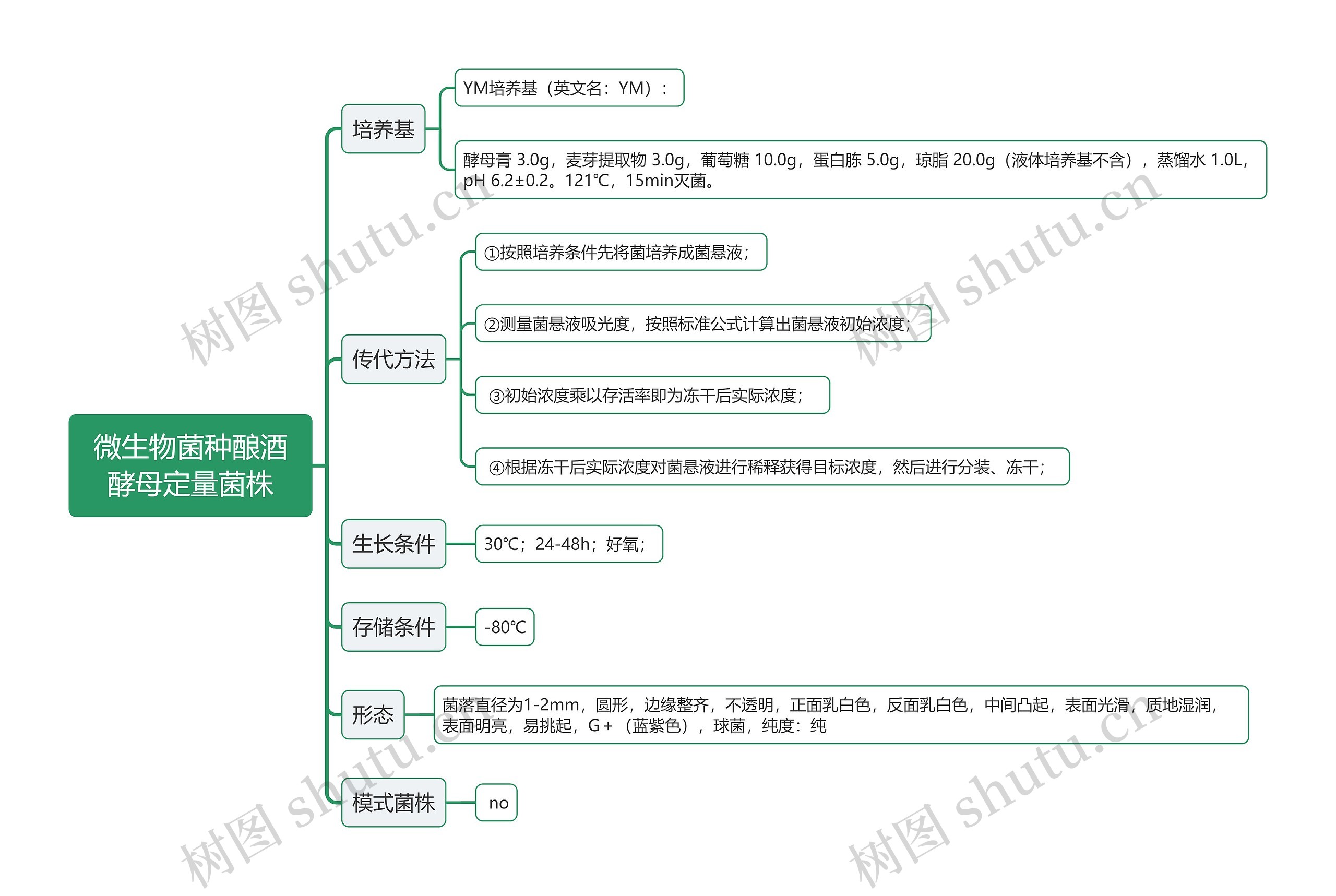 微生物菌种酿酒酵母定量菌株思维导图