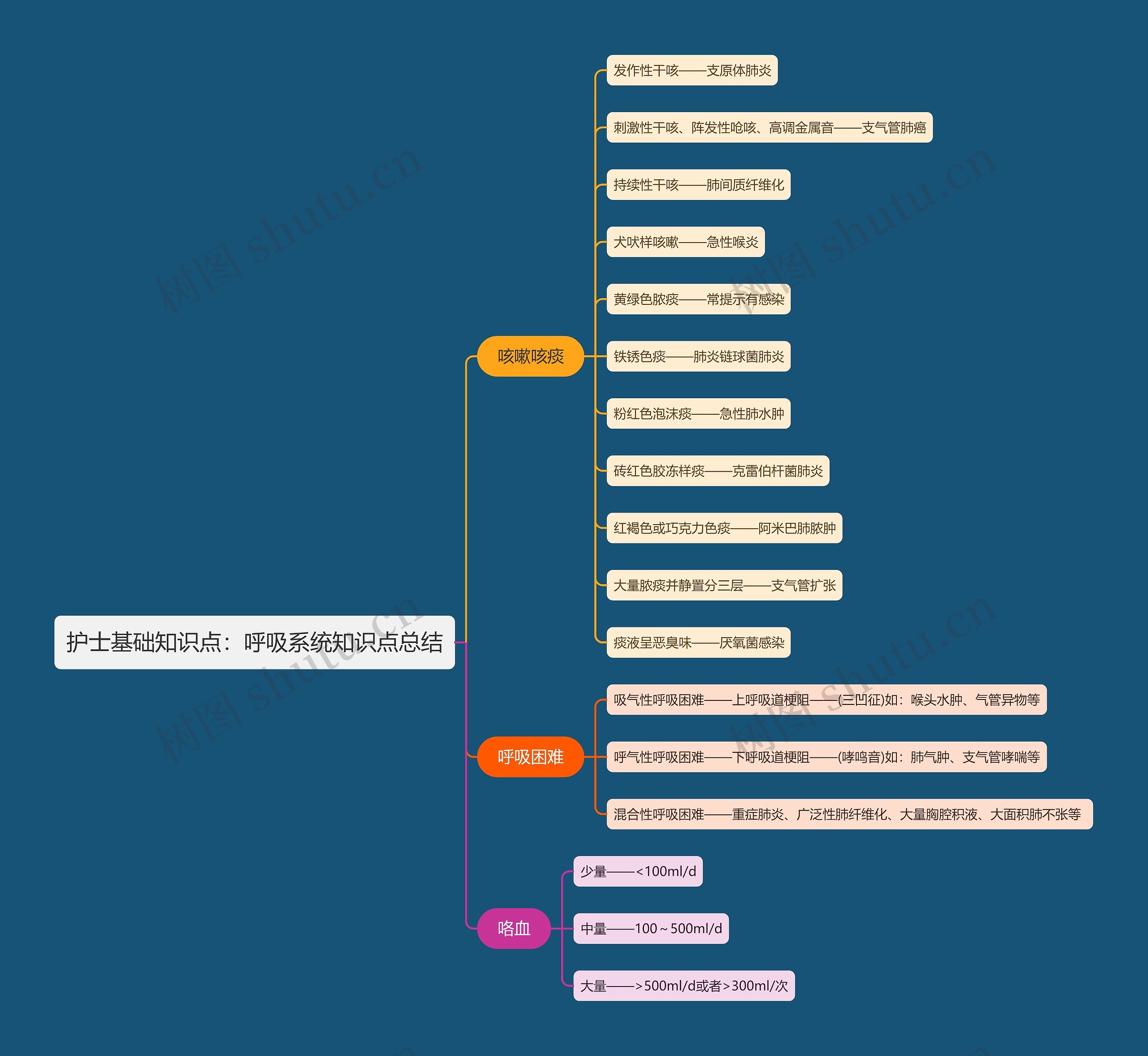 护士基础知识点：呼吸系统知识点总结