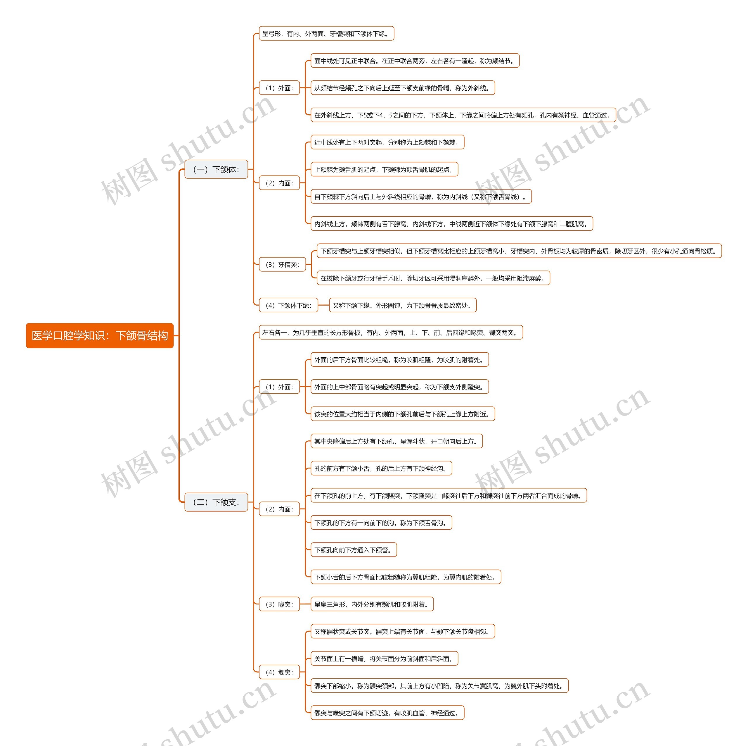 医学口腔学知识:下颌骨结构思维导图高清图 医学口腔学知识:下颌骨结构思维导图