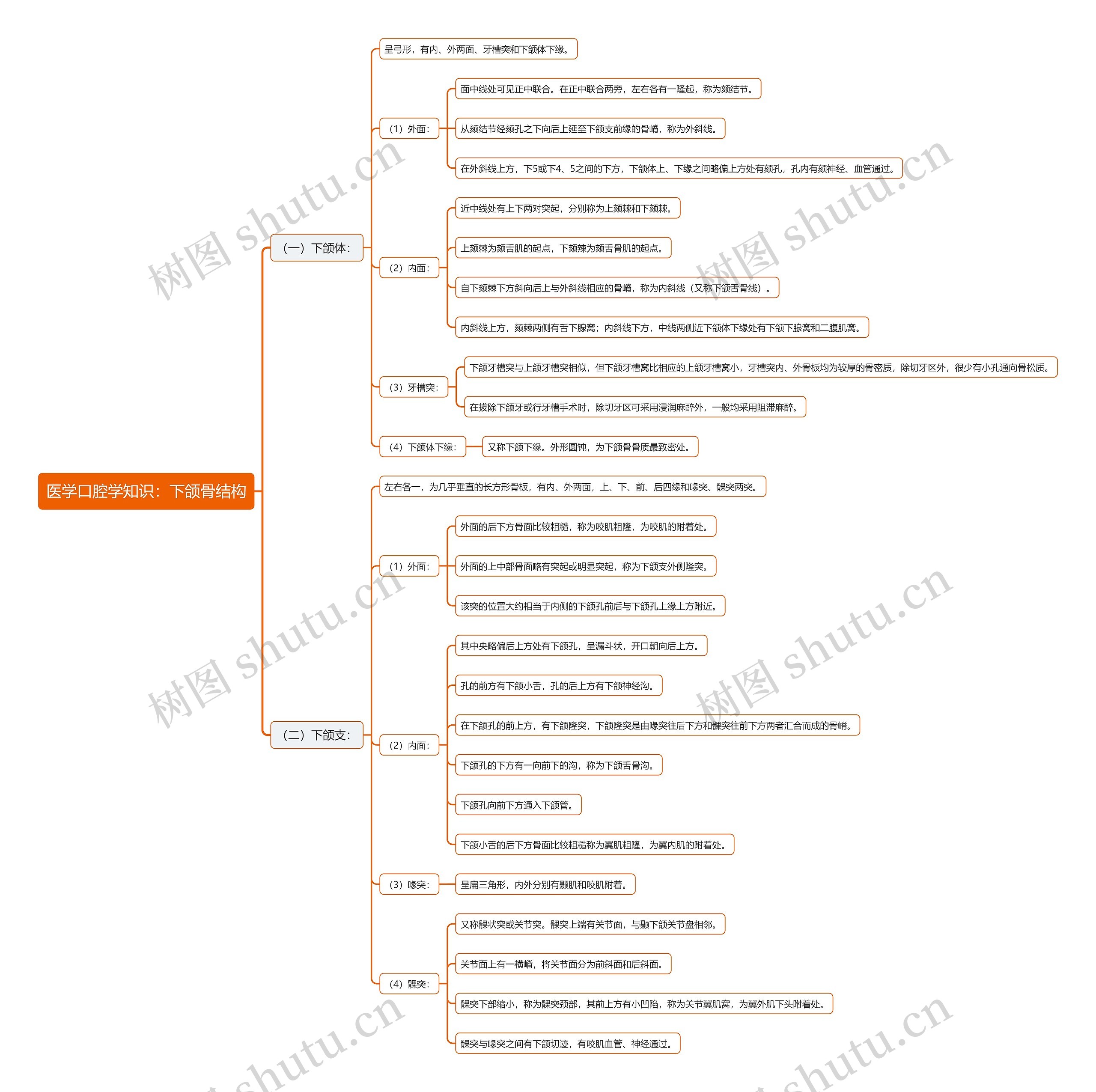 医学口腔学知识：下颌骨结构思维导图