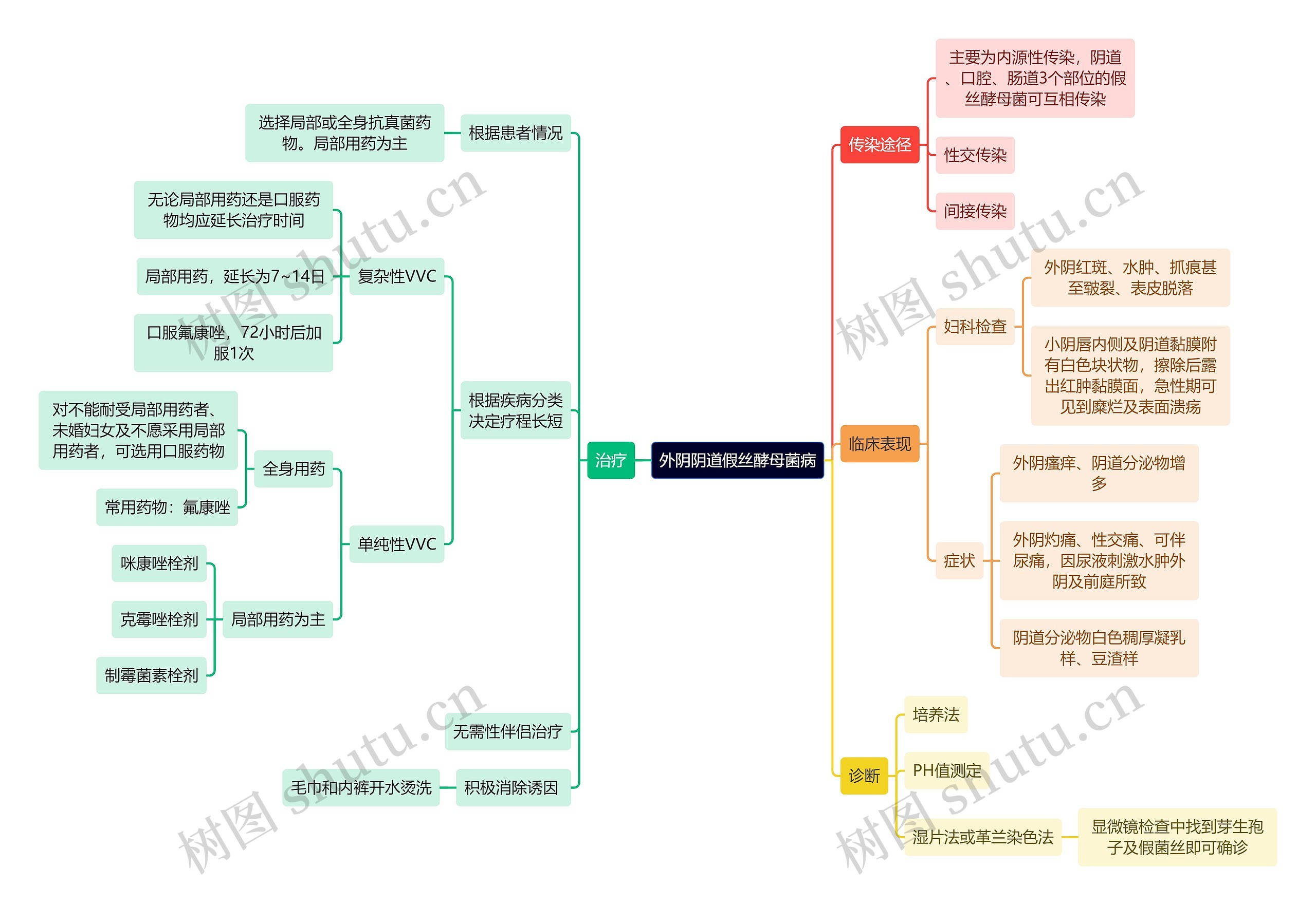 医学知识外阴阴道假丝酵母菌病思维导图