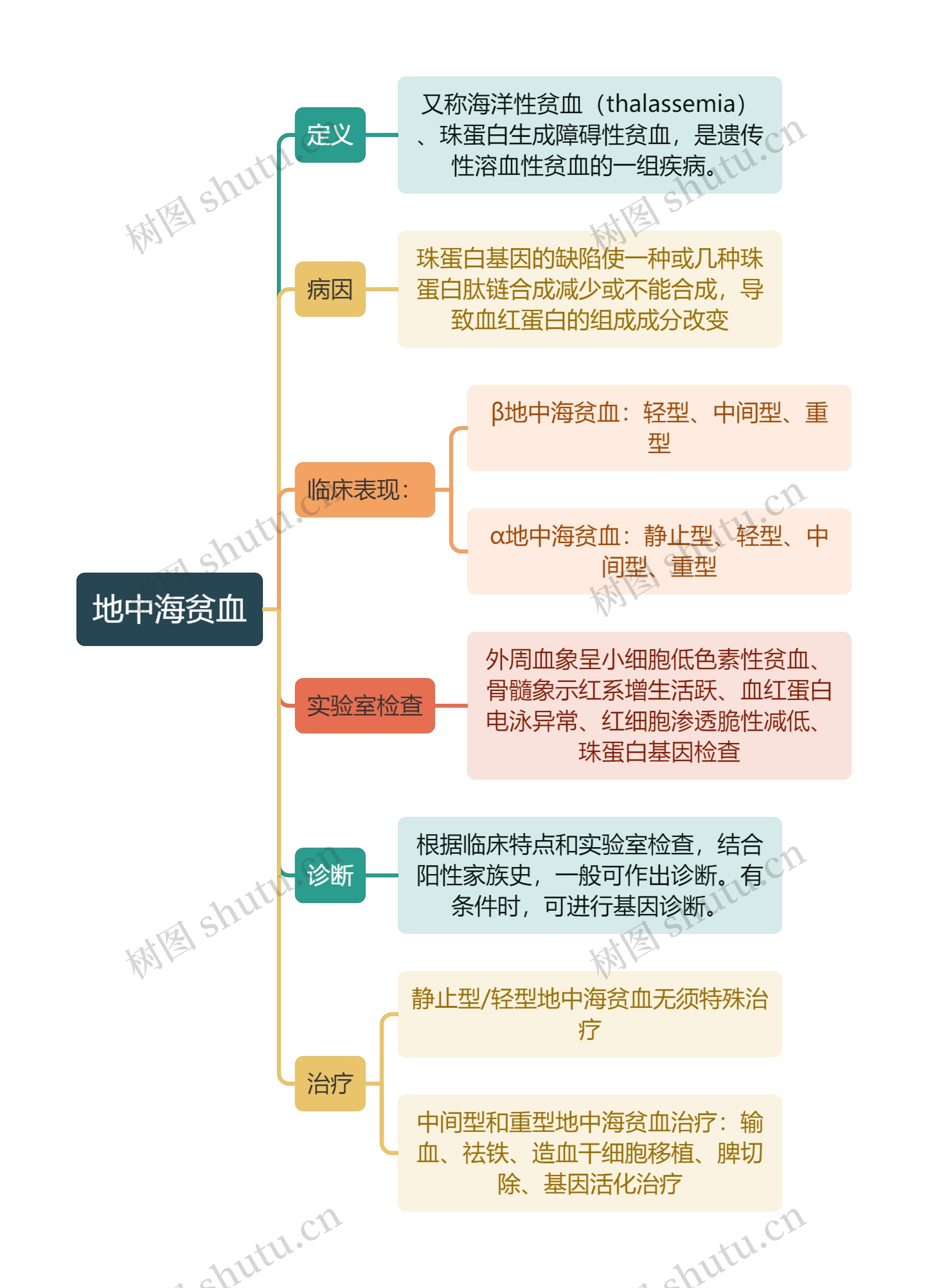 医学知识地中海贫血思维导图