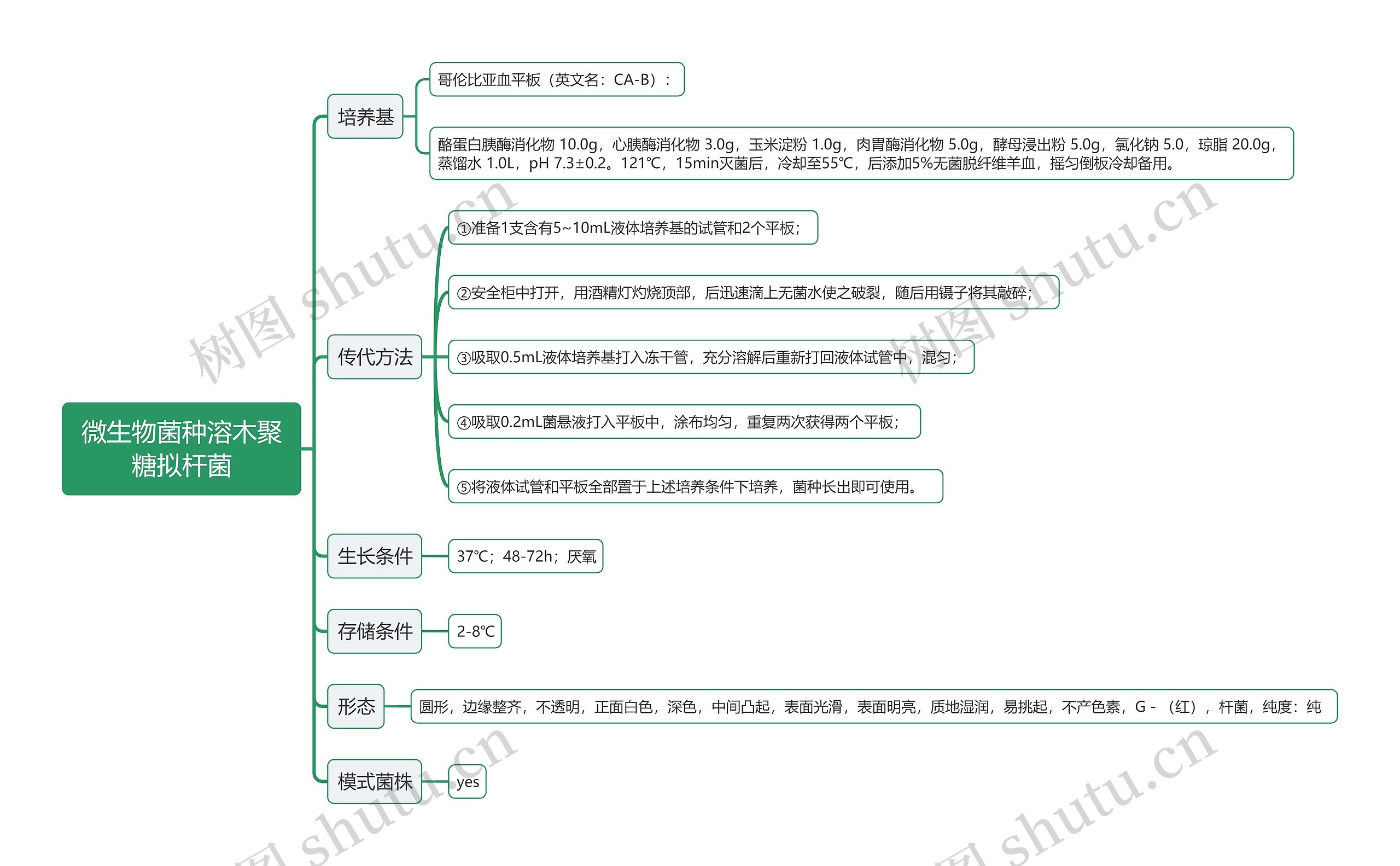 微生物菌种溶木聚糖拟杆菌思维导图