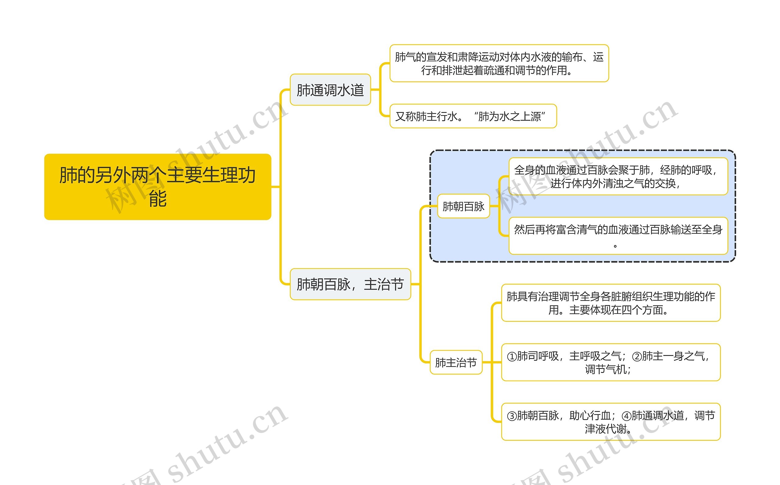 中医知识肺的另外两个主要生理功能思维导图