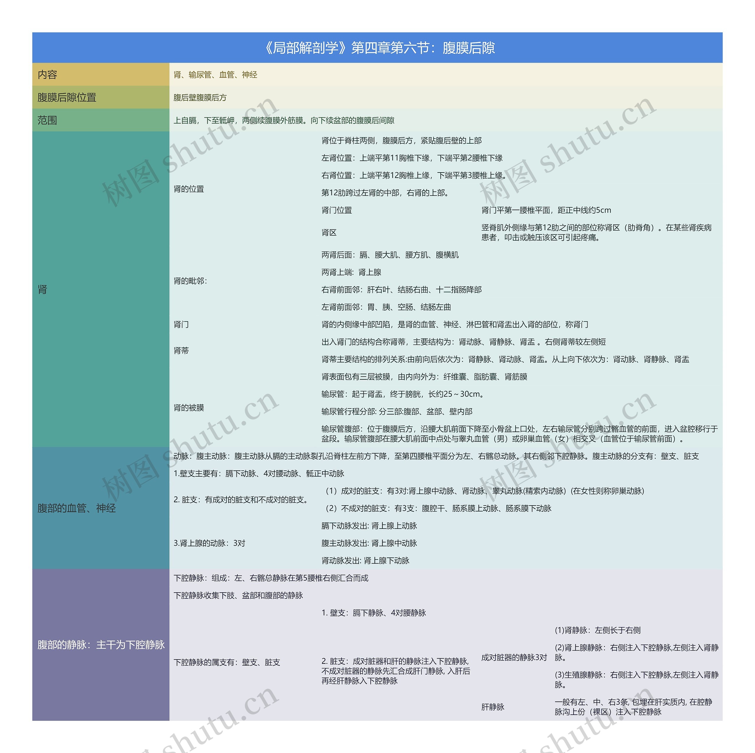 《局部解剖学》第四章第六节：腹膜后隙思维导图