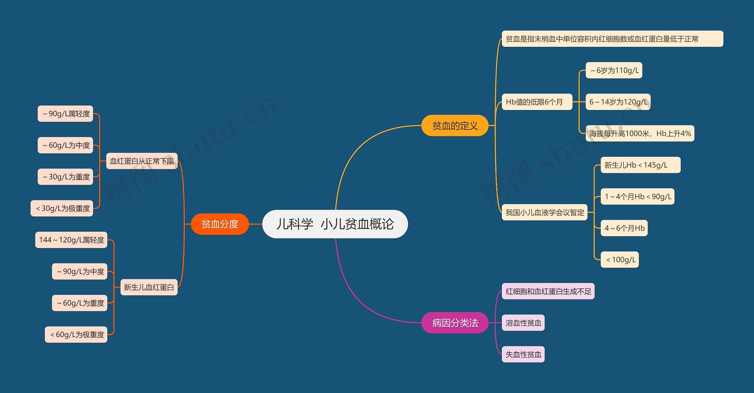 儿科学  小儿贫血概论思维导图