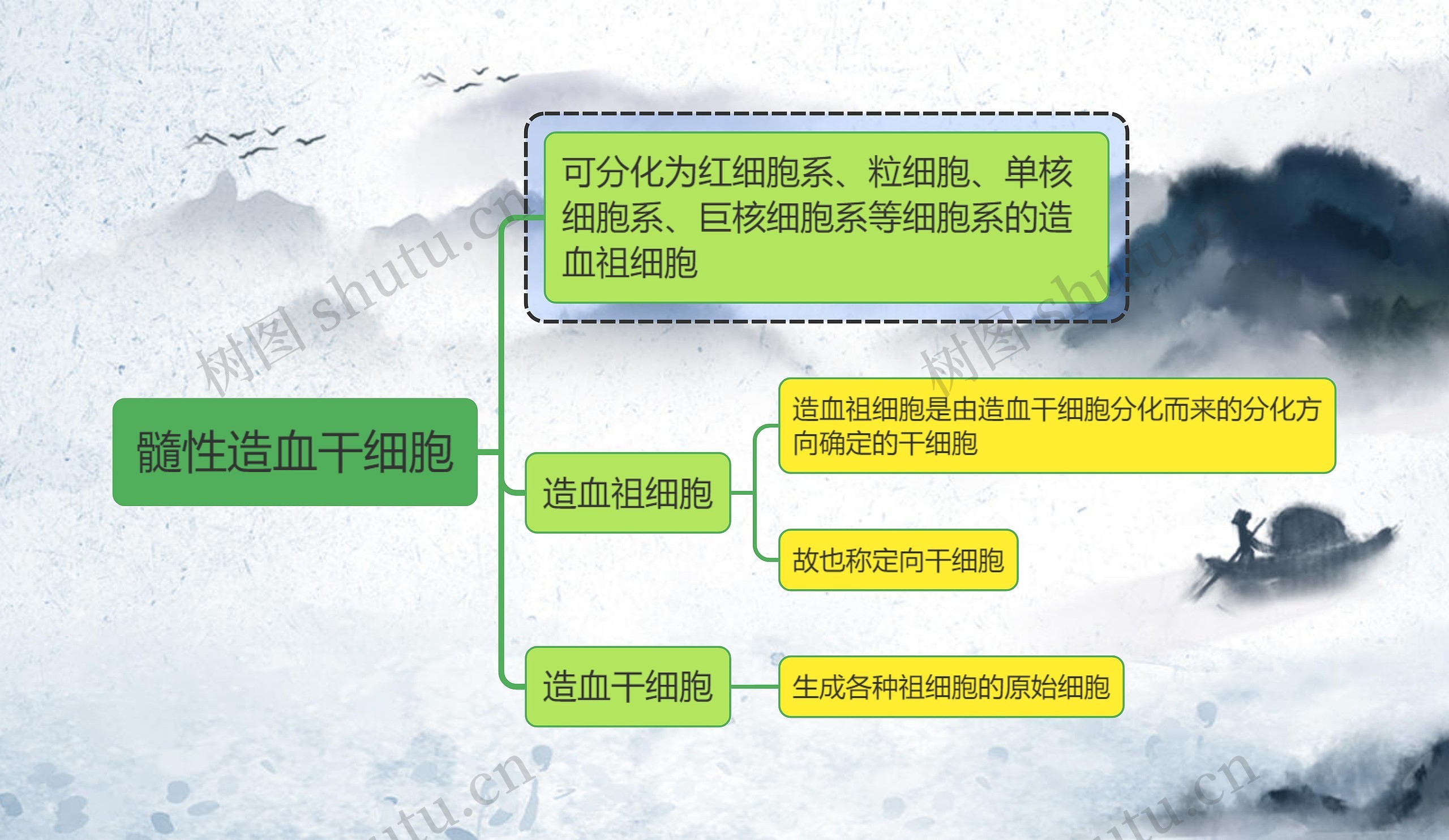 医学知识髓性造血干细胞思维导图