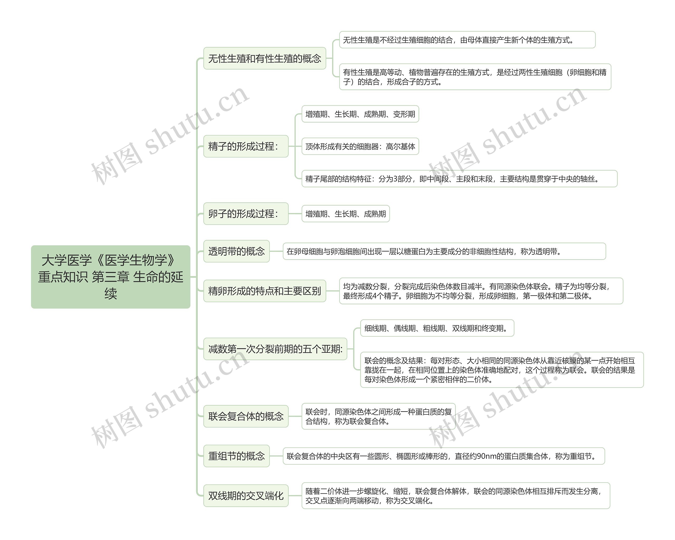 大学医学《医学生物学》重点知识 第三章 生命的延续思维导图高清图 大学医学《医学生物学》重点知识 第三章 生命的延续思维导图