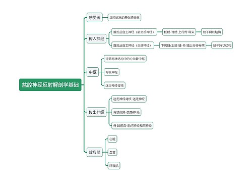 医学盆腔神经反射解剖学基础思维导图