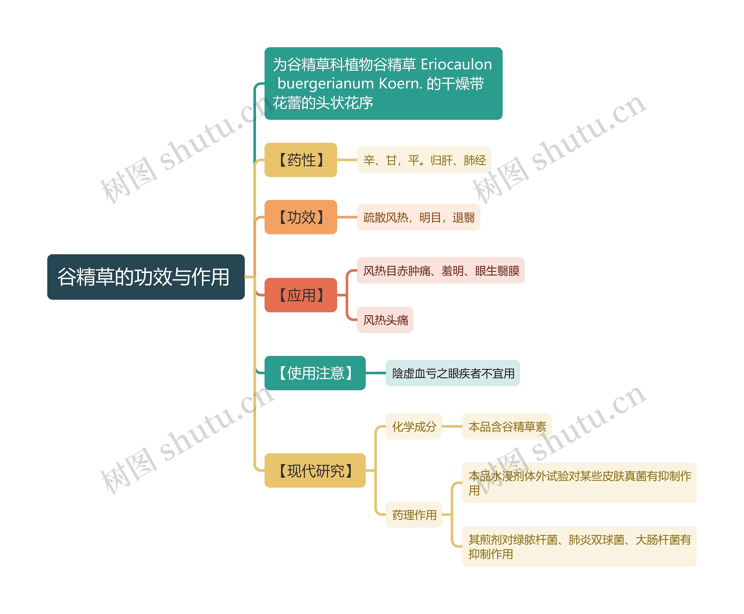 谷精草的功效与作用
思维导图