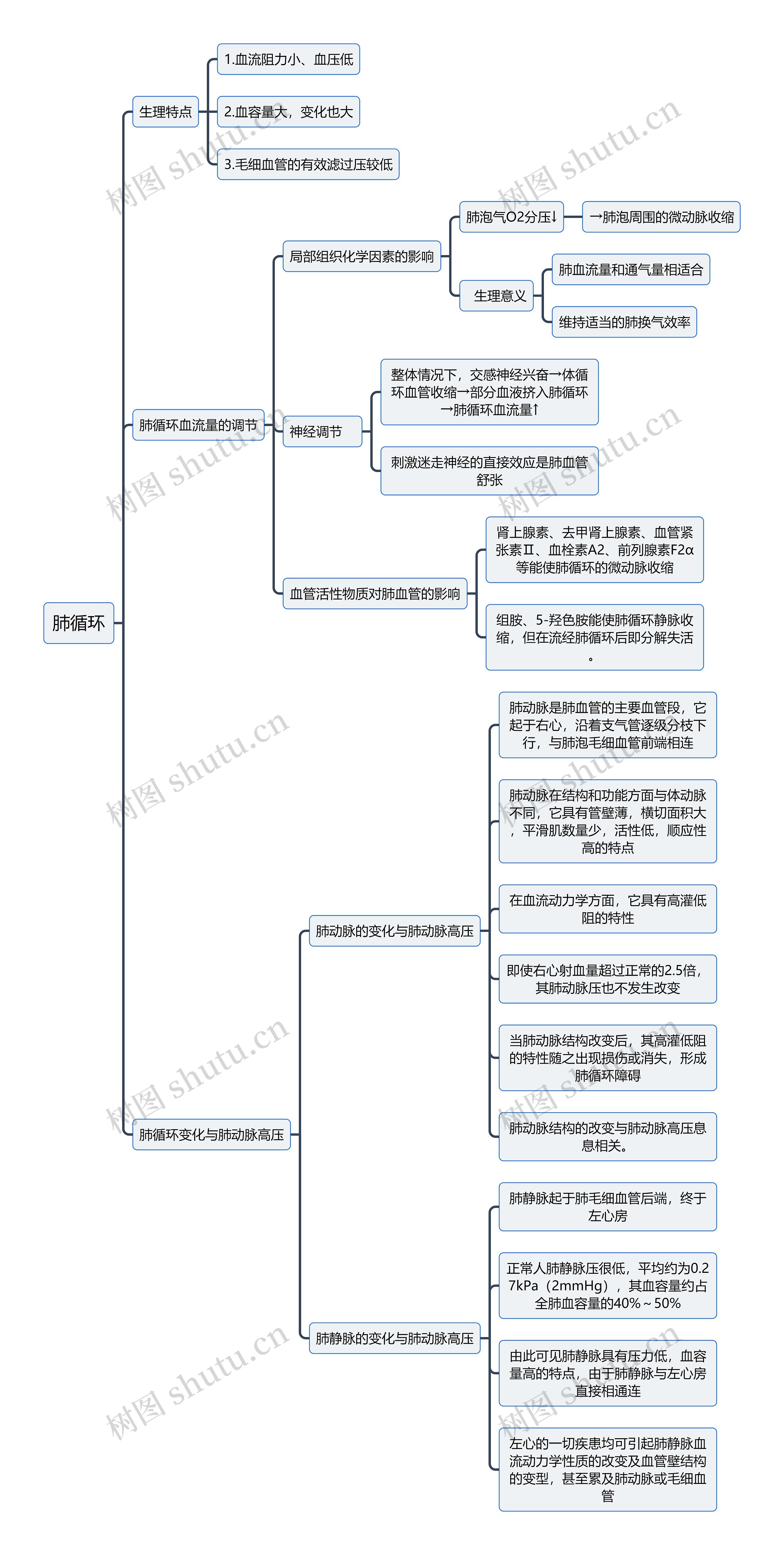 医学知识肺循环思维导图