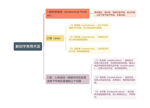 解剖学常用术语思维导图