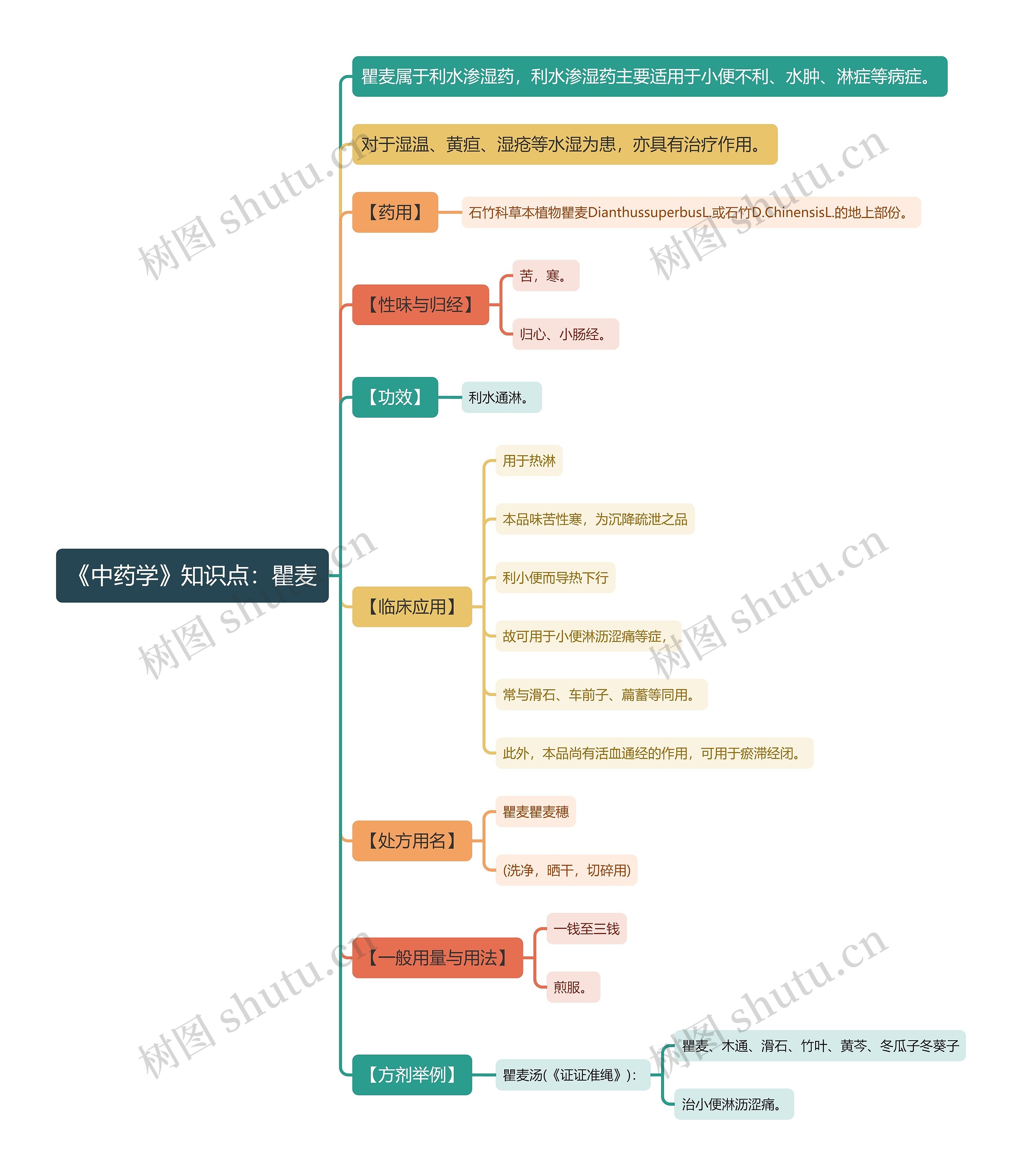 《中药学》知识点：瞿麦思维导图