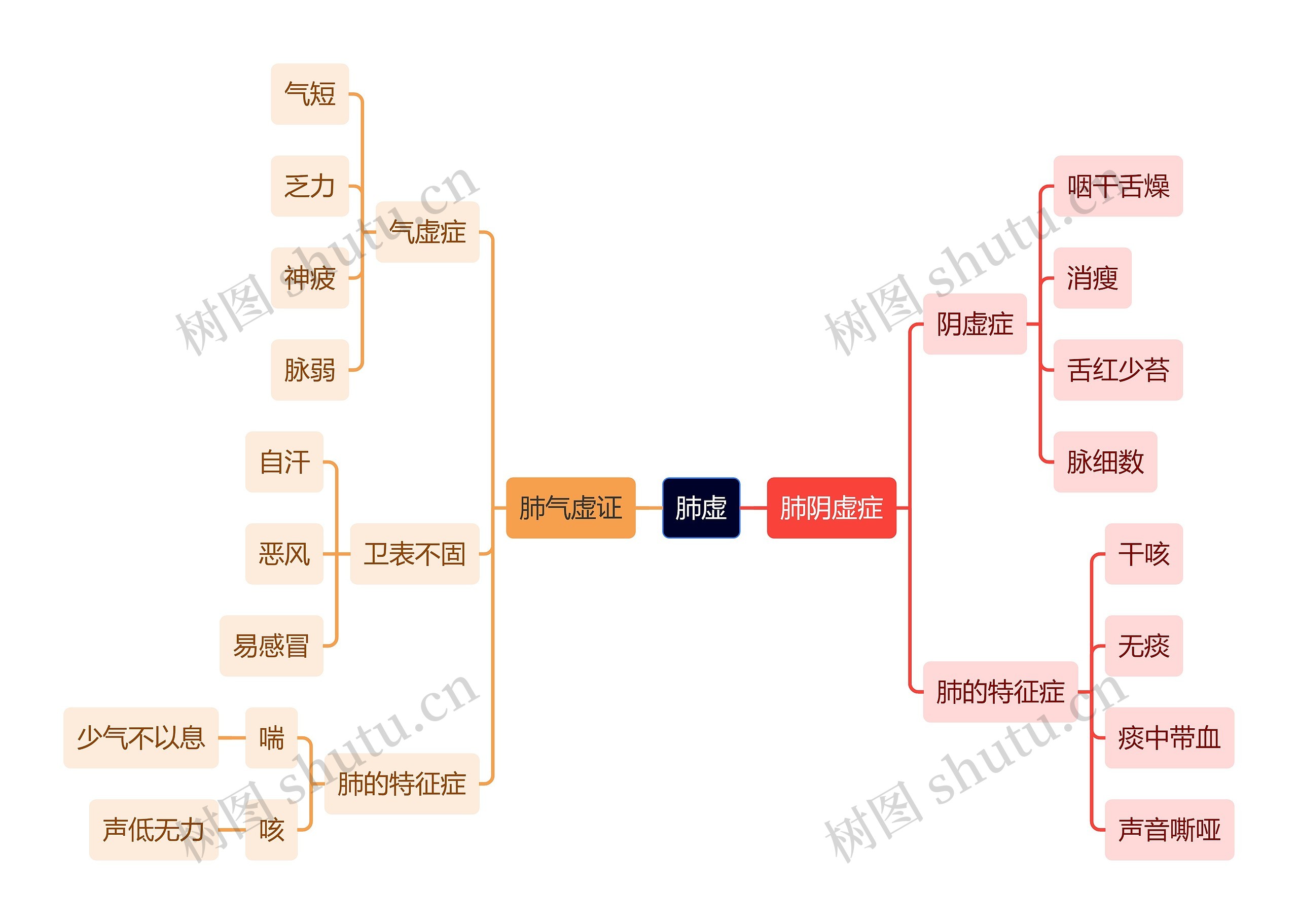中医知识肺虚思维导图