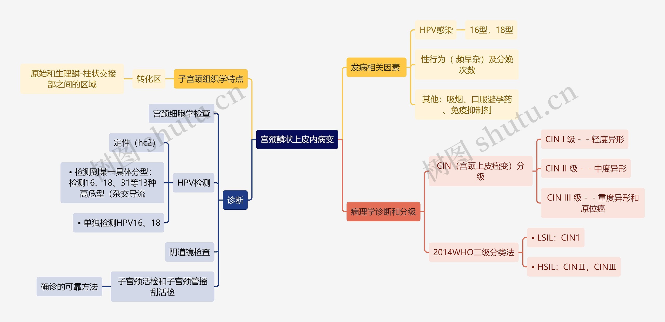 医学知识宫颈鳞状上皮内病变思维导图