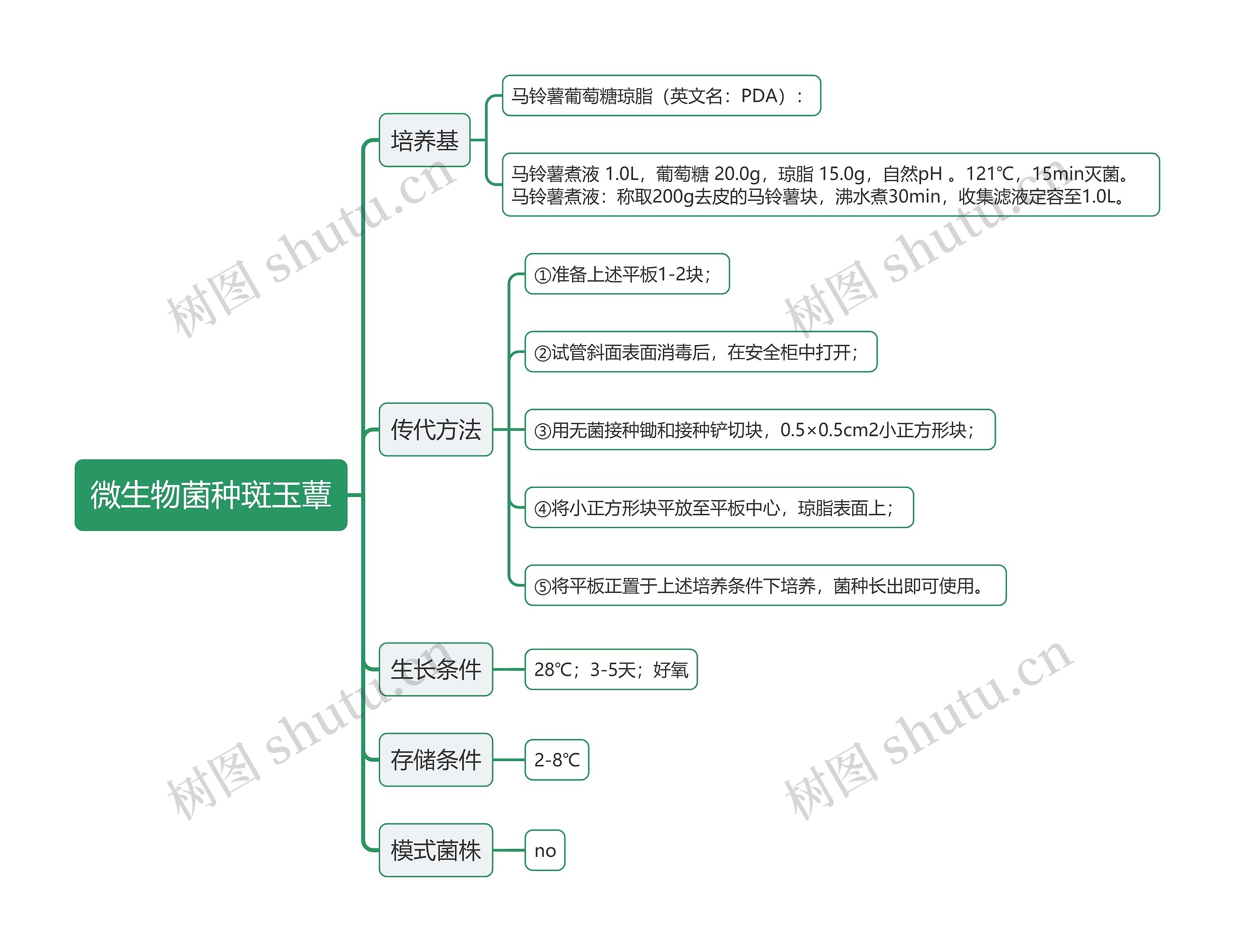 微生物菌种斑玉蕈思维导图