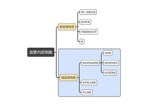 医学知识血管内皮细胞思维导图