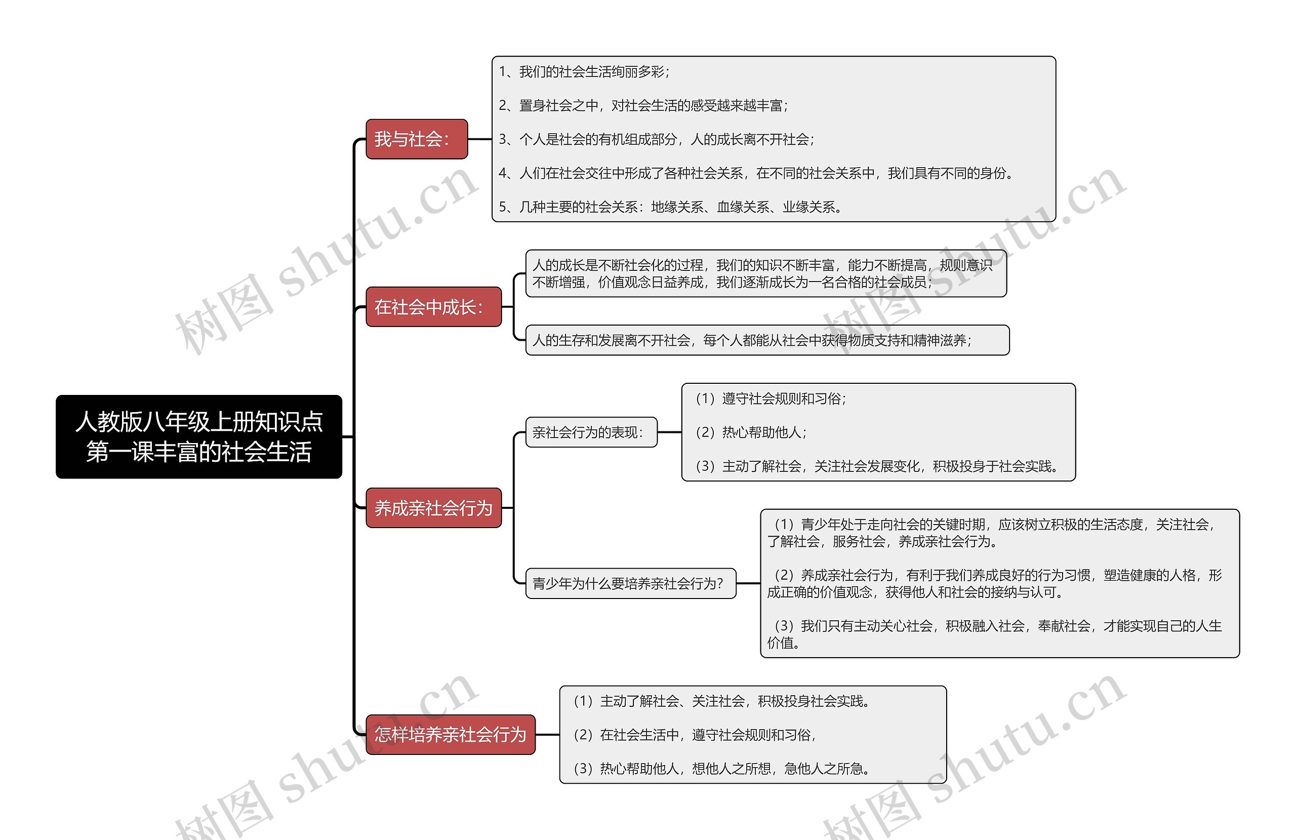 人教版八年级上册知识点第一课丰富的社会生活