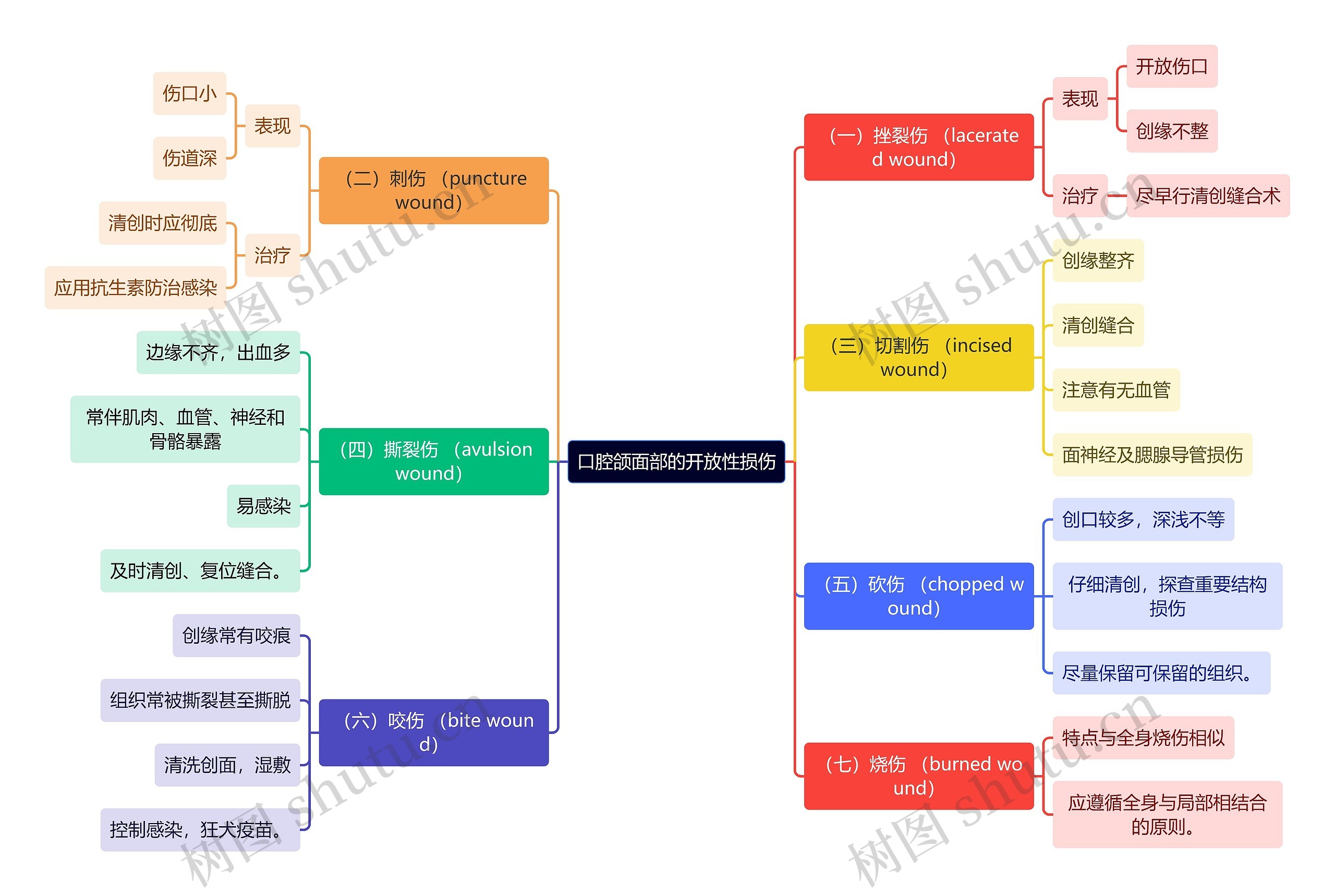 医学知识口腔颌面部的开放性损伤思维导图