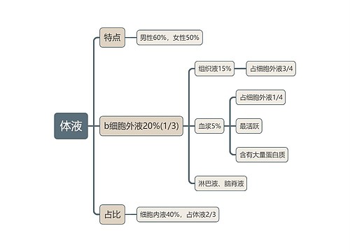 医学知识体液思维导图