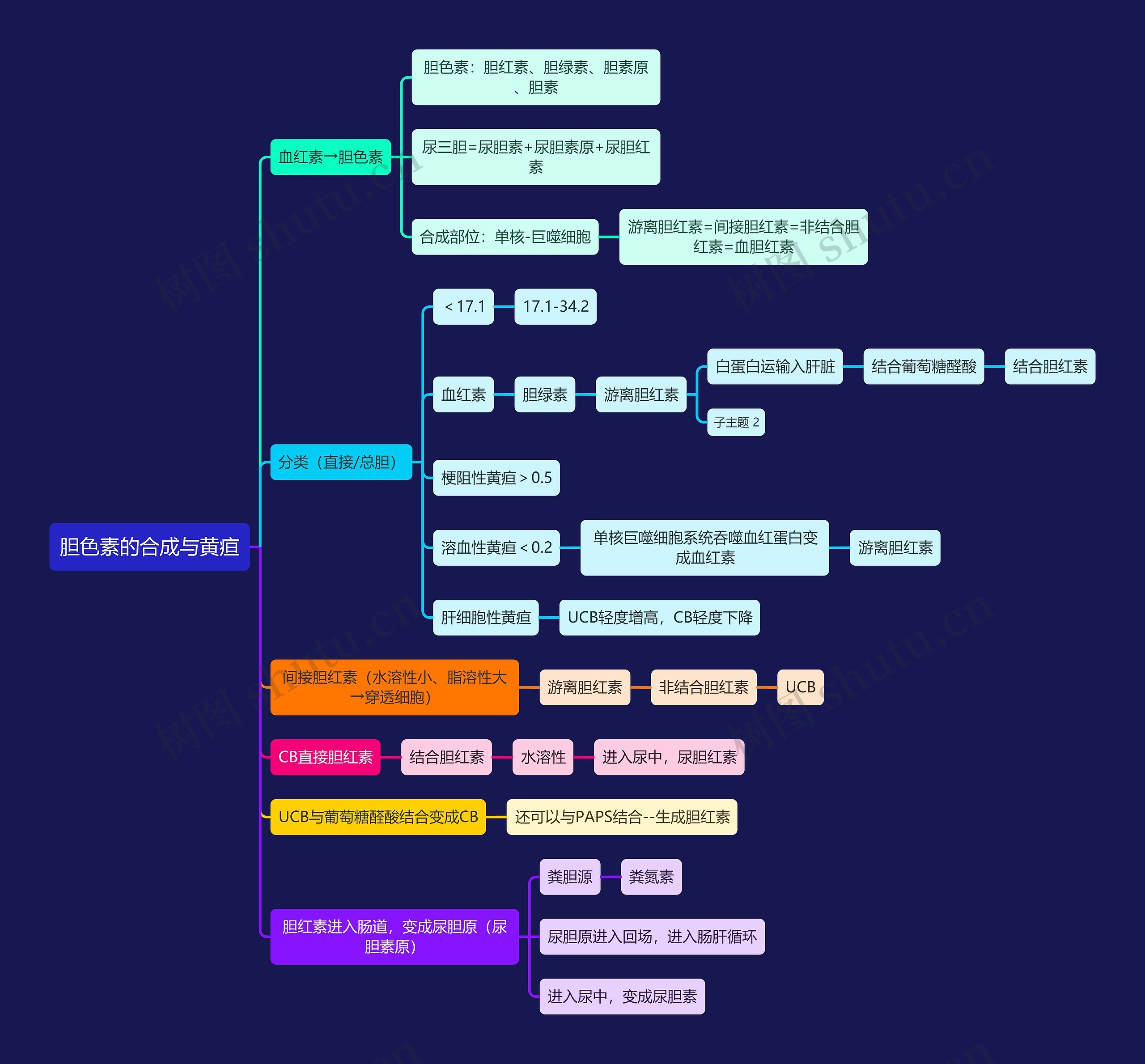 医学知识胆色素的合成与黄疸思维导图