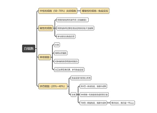 医学知识白细胞思维导图