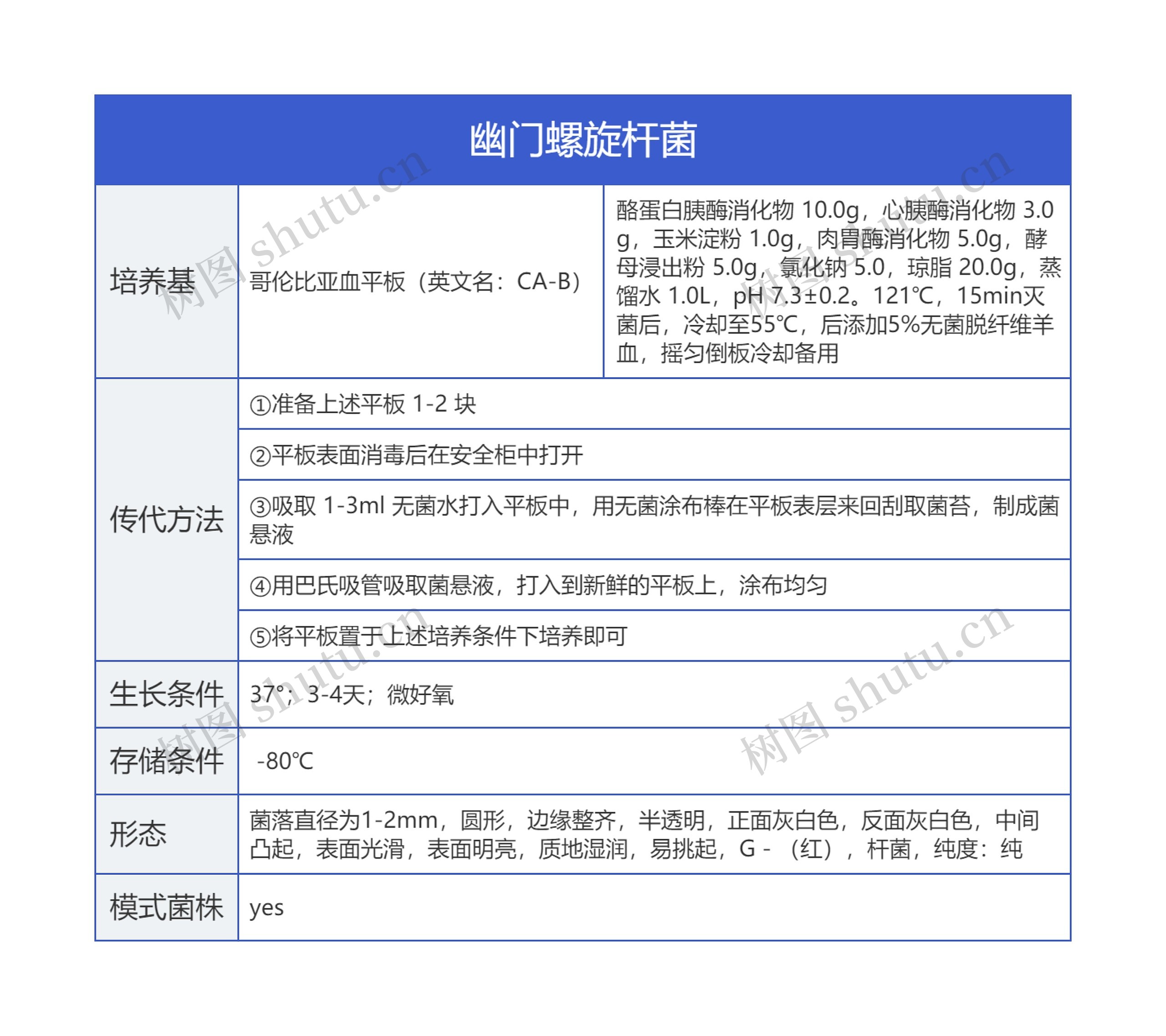 幽门螺旋杆菌