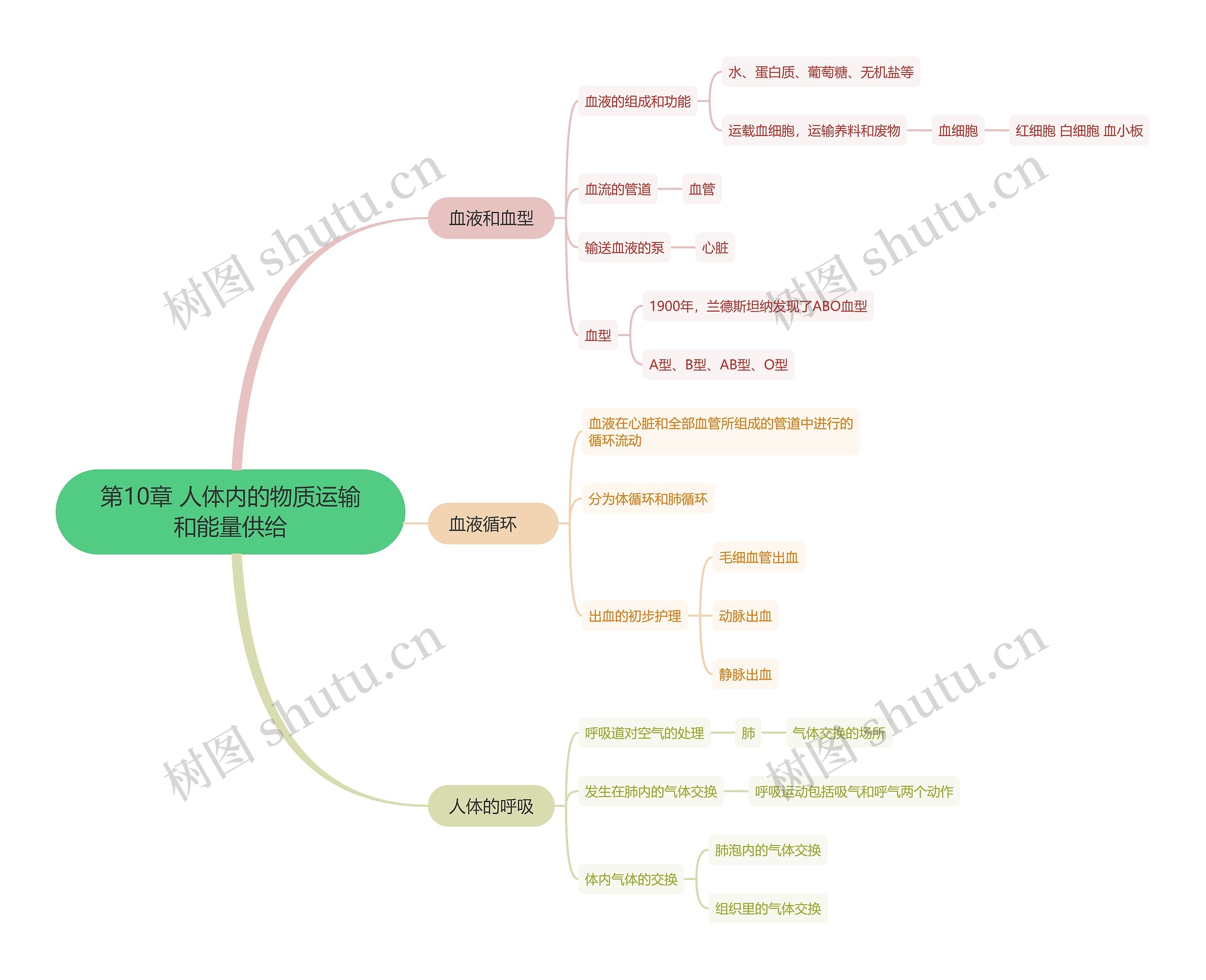 第10章 人体内的物质运输和能量供给思维导图