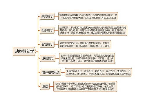 《动物解剖学》思维导图