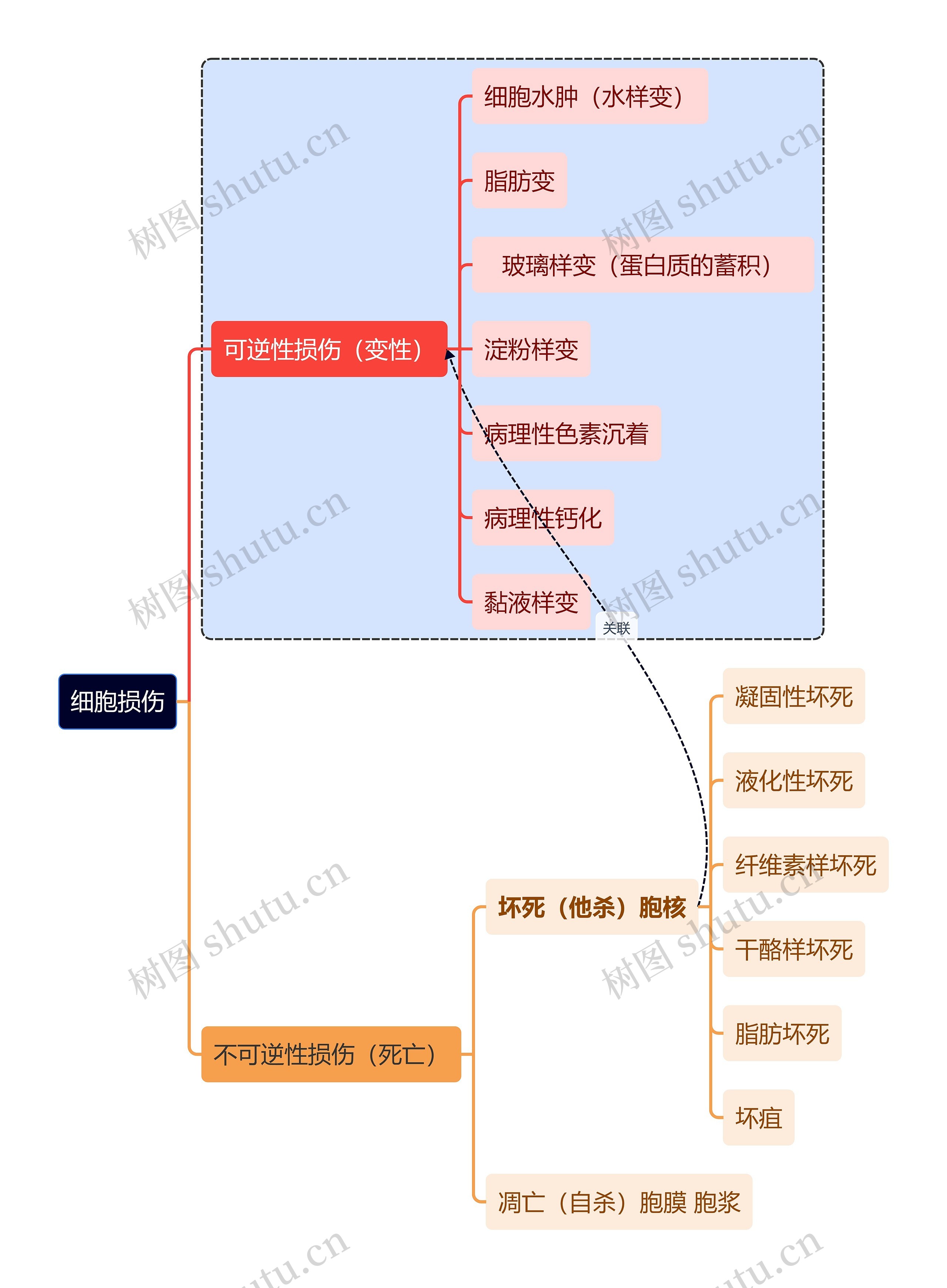 医学知识细胞损伤思维导图