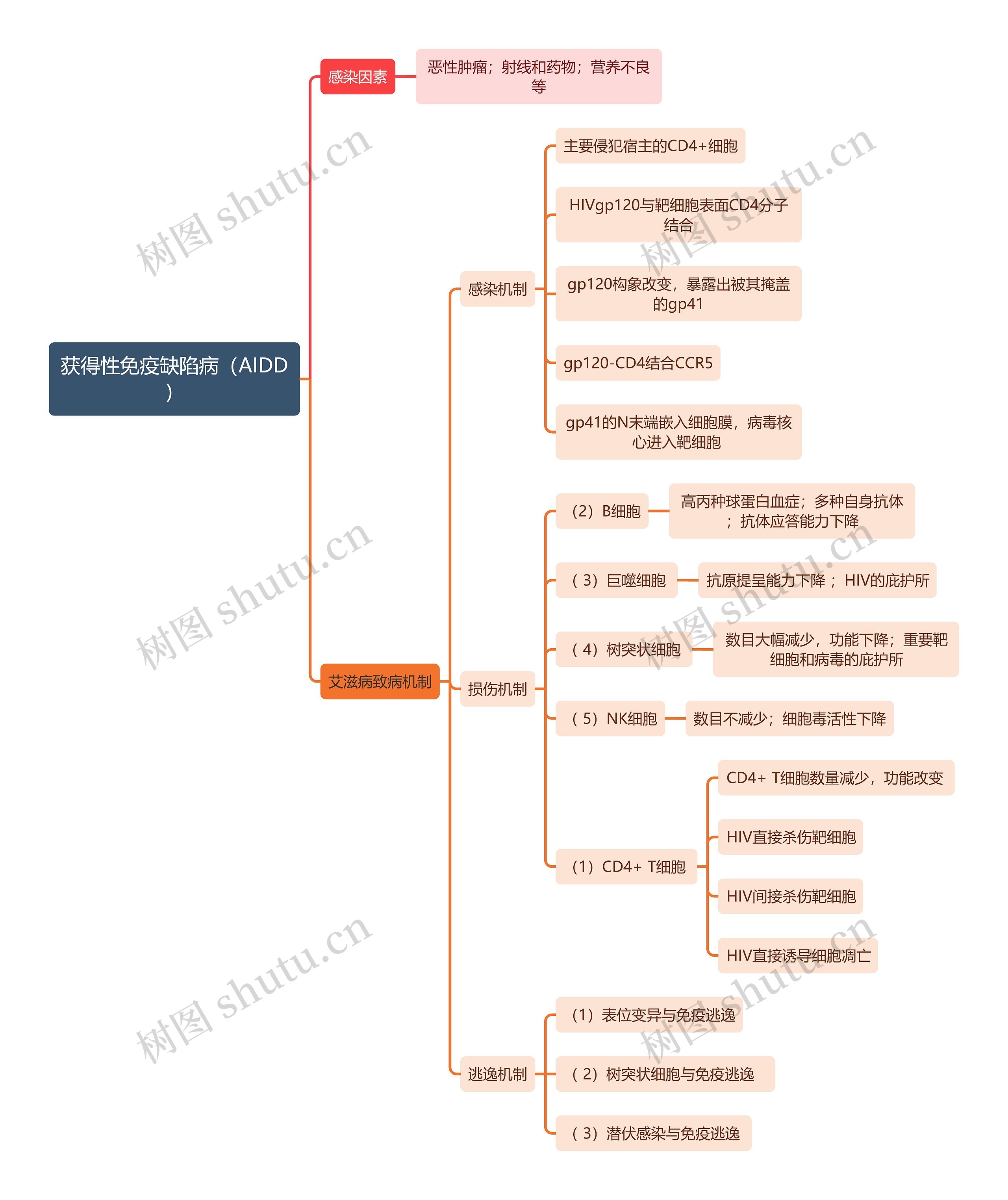 医学知识获得性免疫缺陷病（AIDD）思维导图