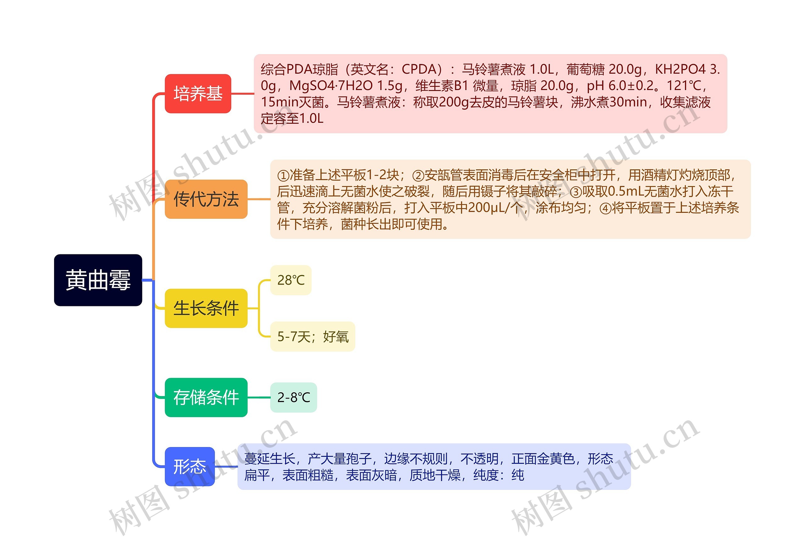 黄曲霉思维导图