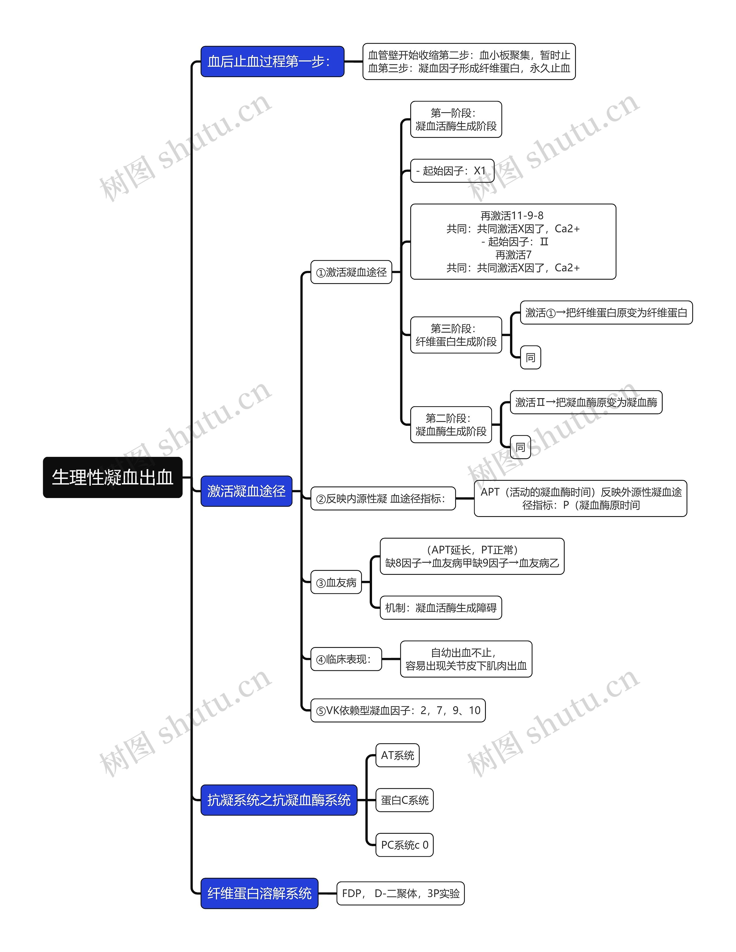 医学知识生理性凝血出血思维导图