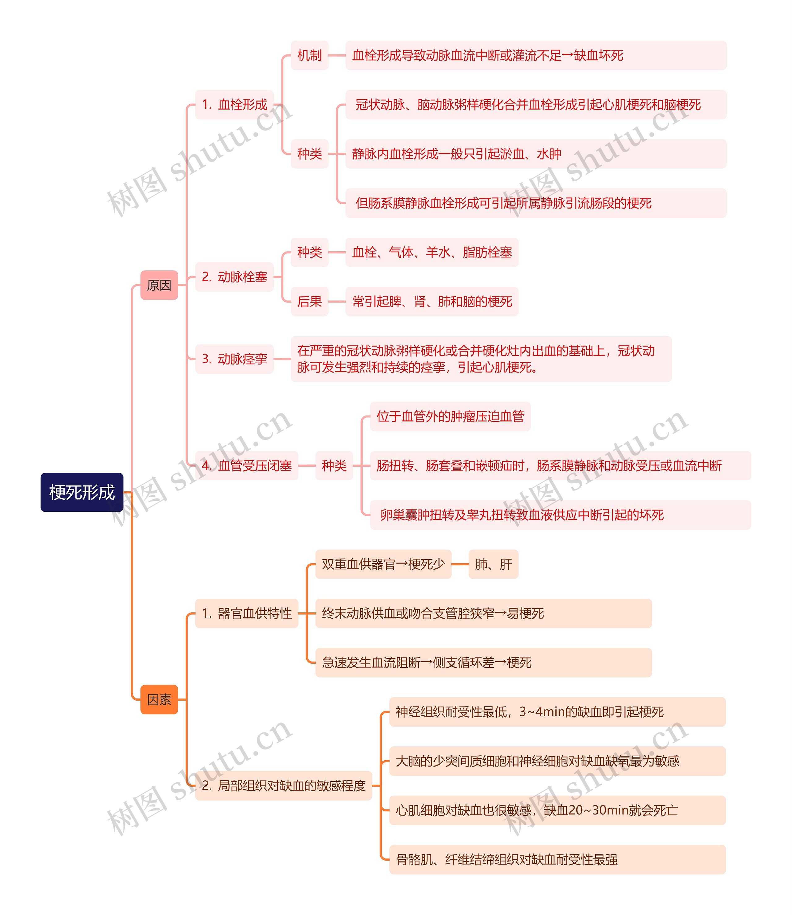 梗死形成思维导图