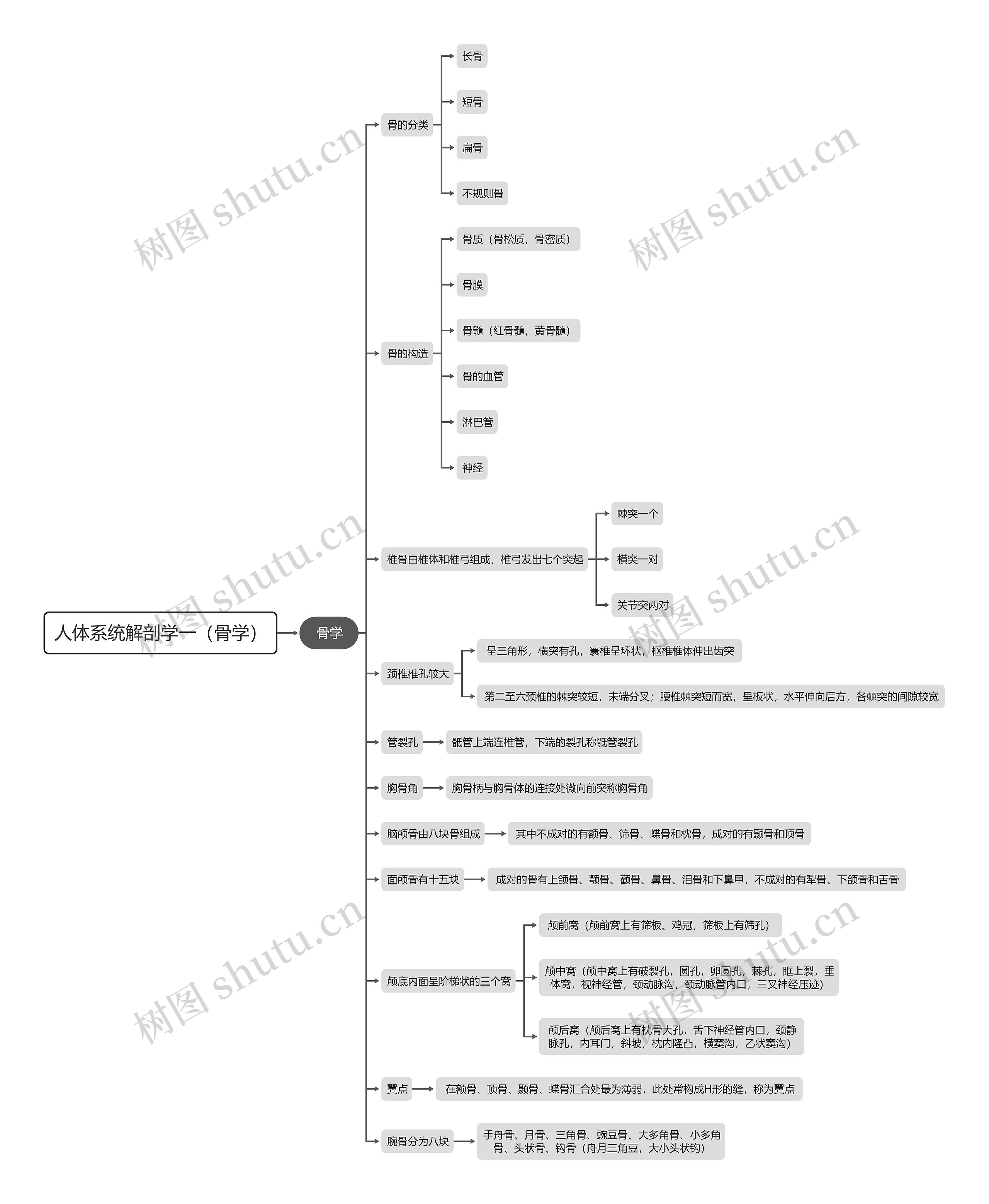 人体系统解剖学一（骨学）