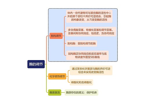 医学知识酶的调节思维导图