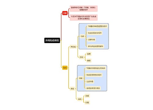 医学知识外周免疫器官思维导图