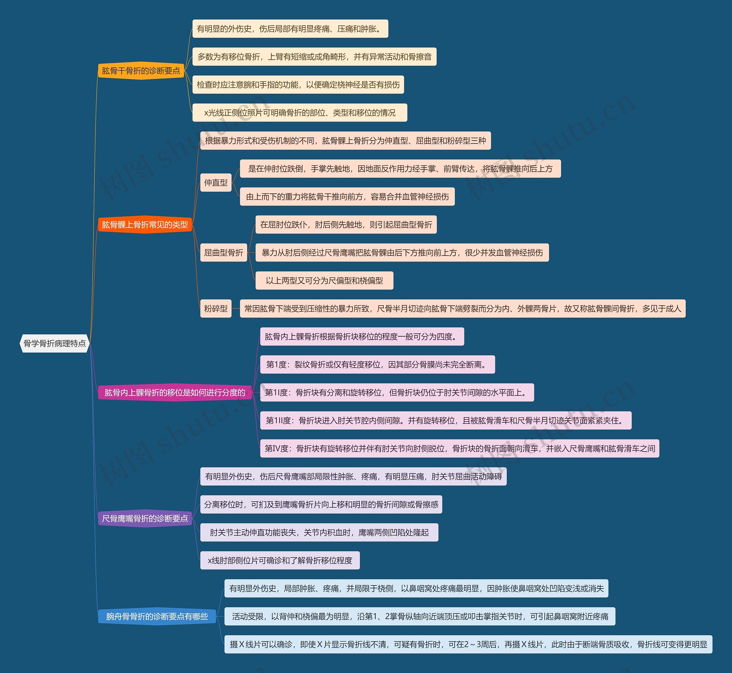 骨学骨折病理特点思维导图