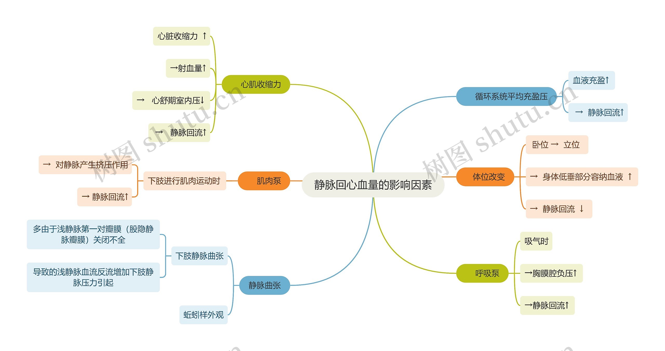 医学知识静脉回心血量的影响因素思维导图