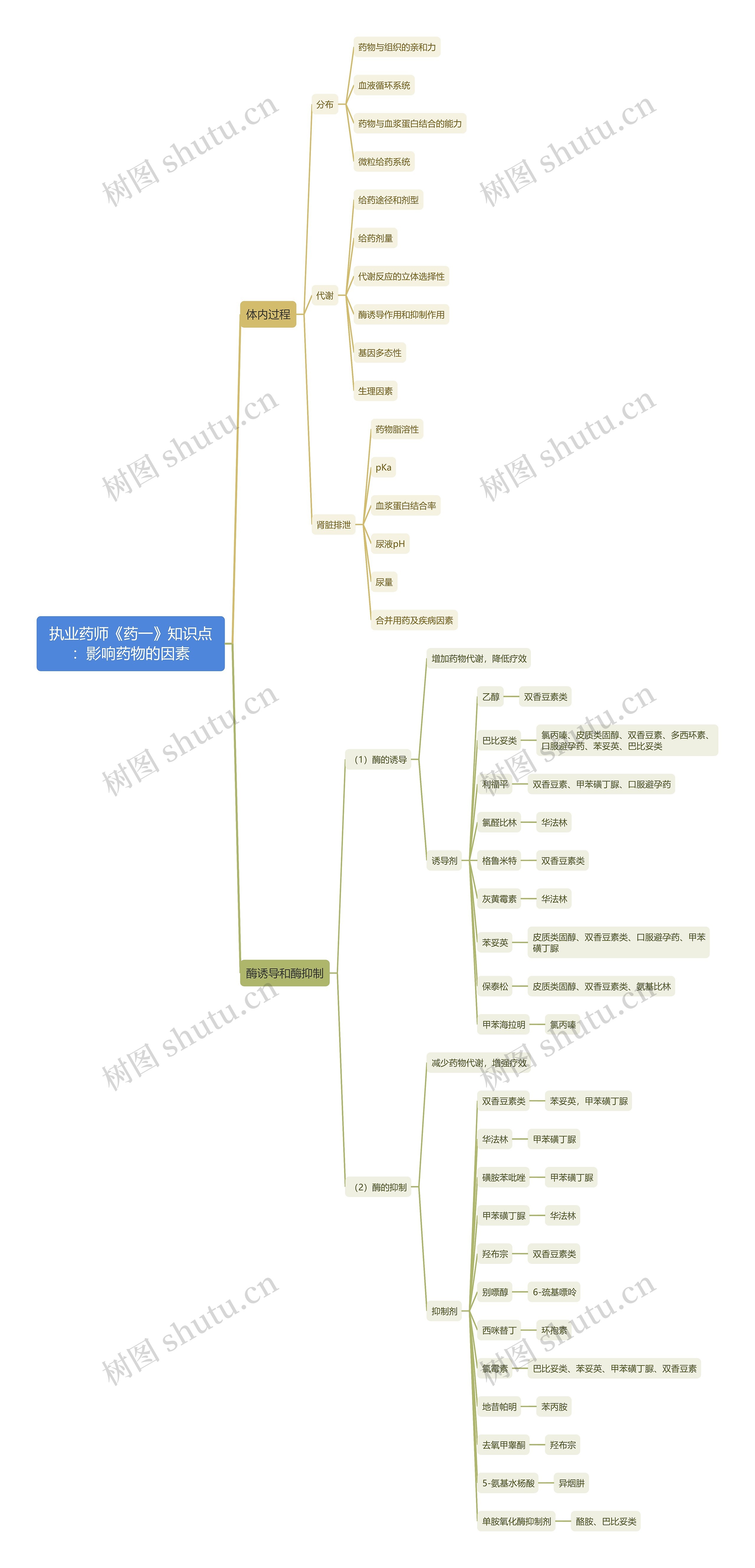 执业药师《药一》知识点：影响药物的因素思维导图
