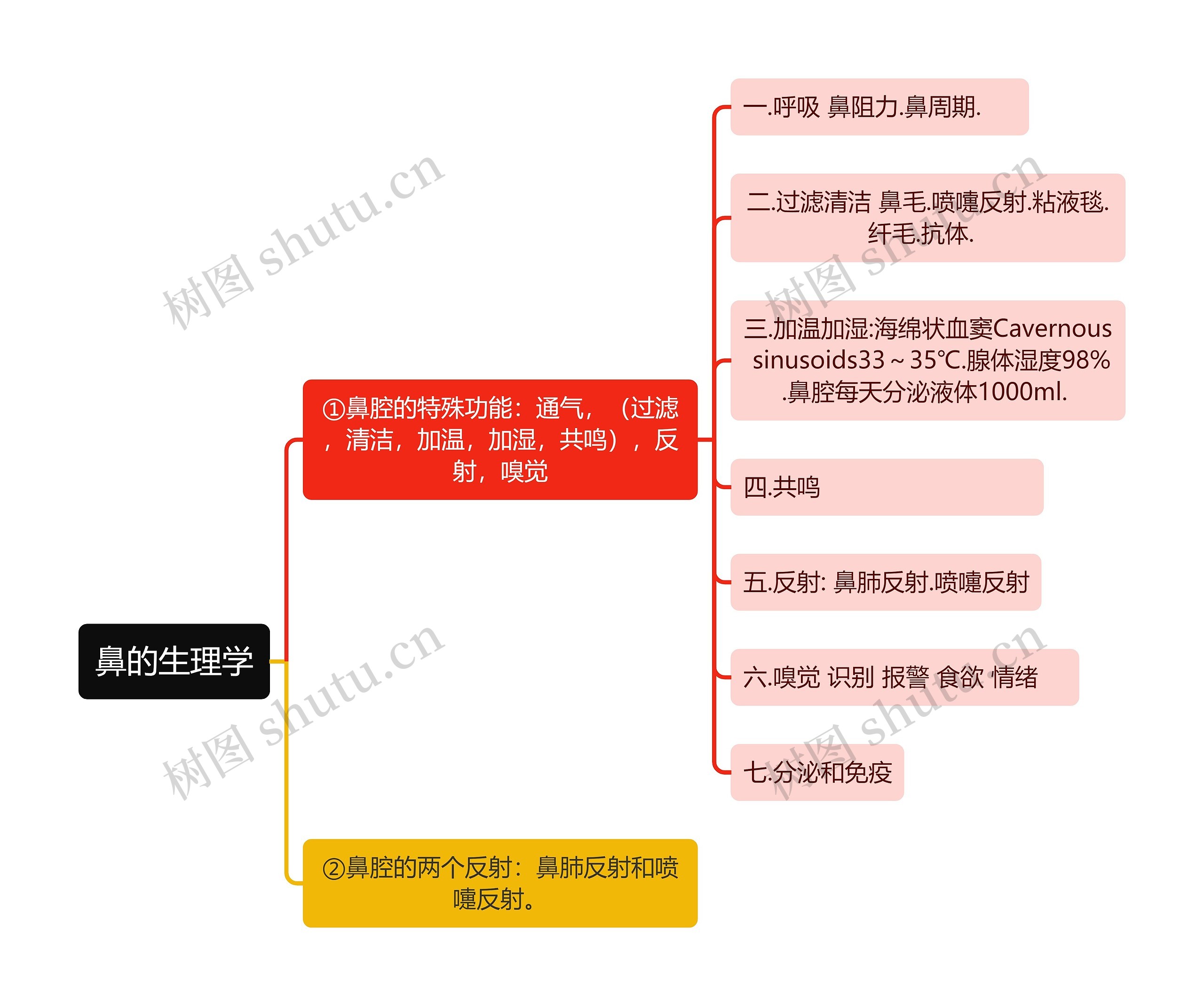 医学知识鼻的生理学思维导图