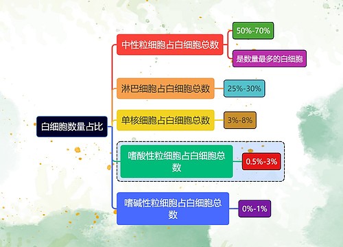 医学知识白细胞数量占比思维导图