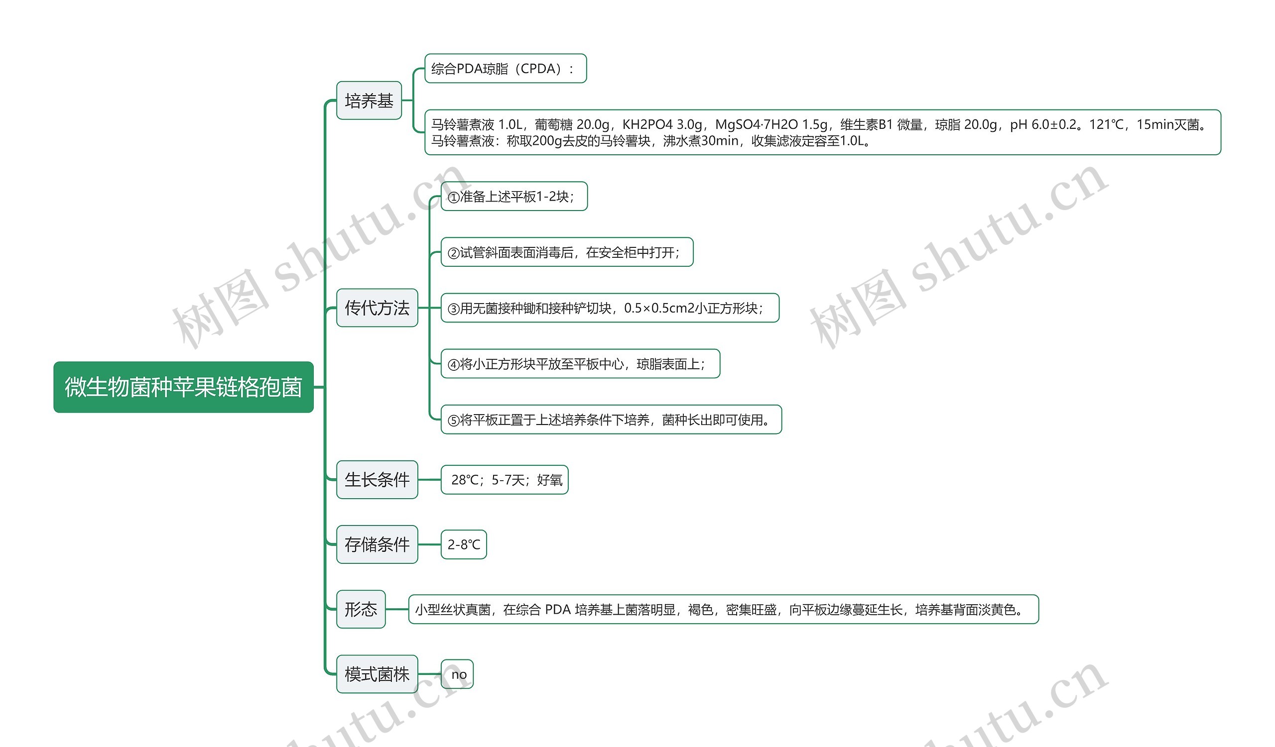 微生物菌种苹果链格孢菌思维导图