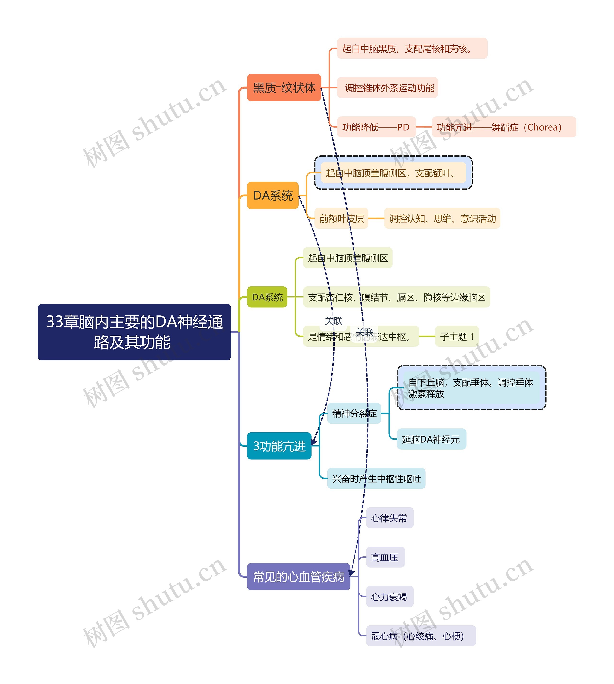 医学知识脑内主要的DA神经通路及其功能思维导图