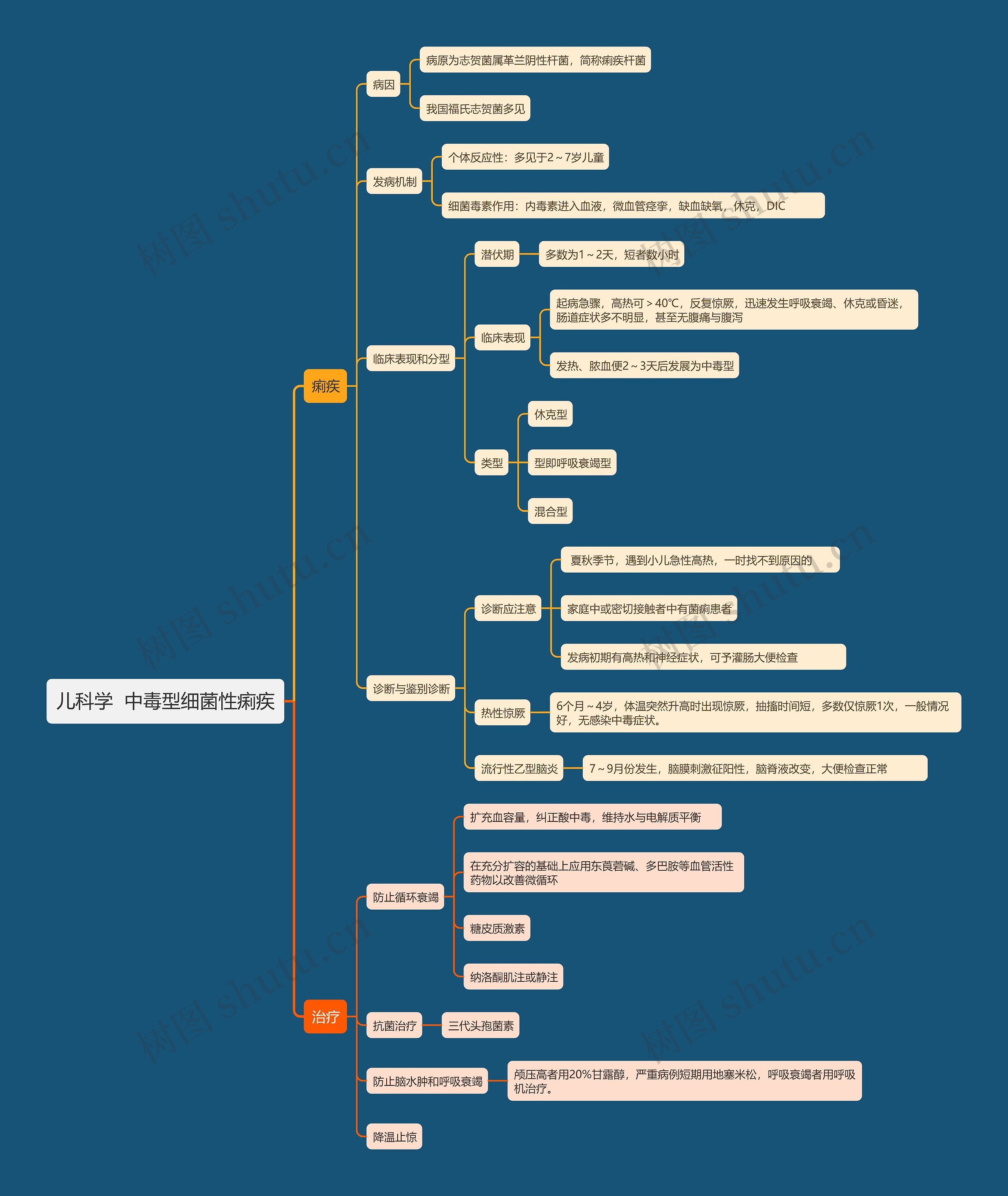 儿科学  中毒型细菌性痢疾思维导图